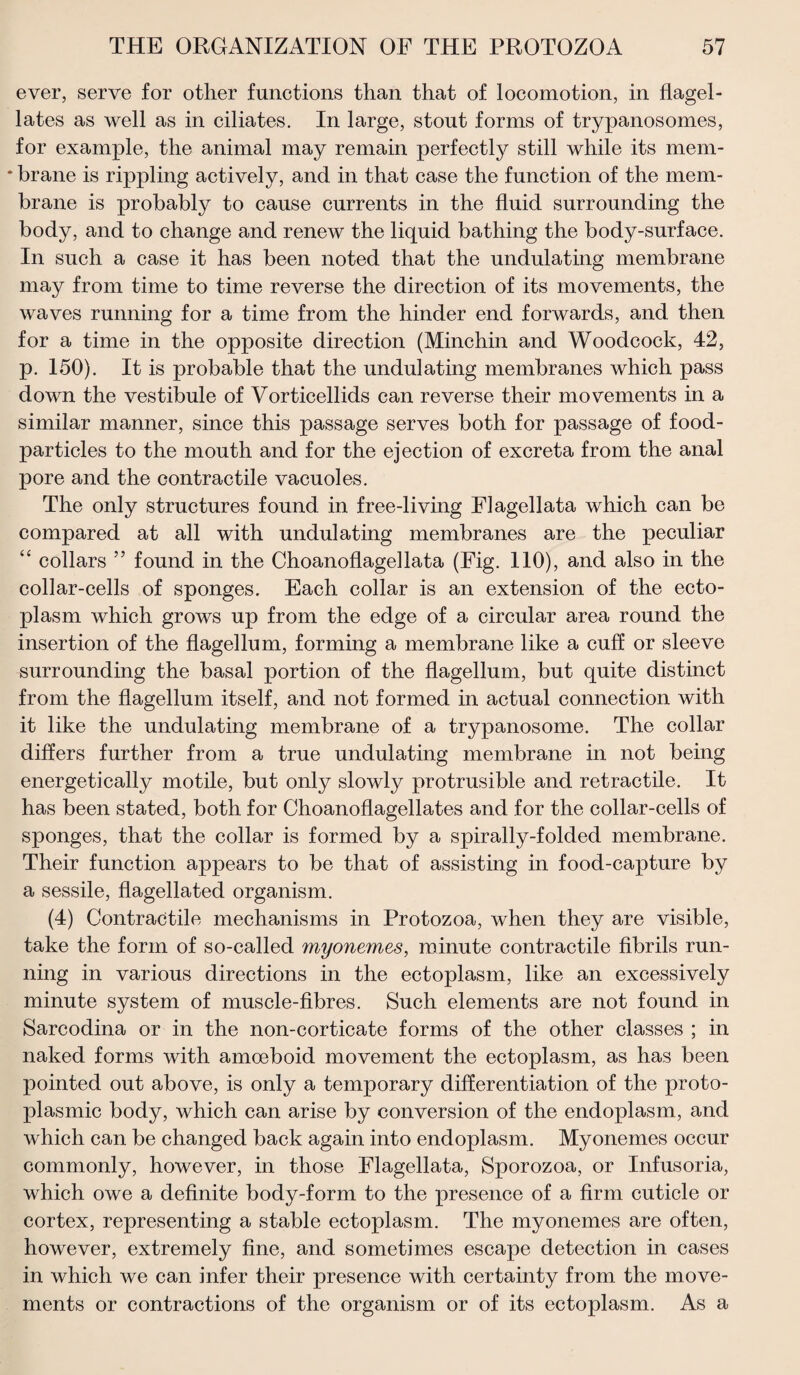 ever, serve for other functions than that of locomotion, in flagel¬ lates as well as in ciliates. In large, stout forms of trypanosomes, for example, the animal may remain perfectly still while its mem- * brane is rippling actively, and in that case the function of the mem¬ brane is probably to cause currents in the fluid surrounding the body, and to change and renew the liquid bathing the body-surface. In such a case it has been noted that the undulating membrane may from time to time reverse the direction of its movements, the waves running for a time from the hinder end forwards, and then for a time in the opposite direction (Minchin and Woodcock, 42, p. 150). It is probable that the undulating membranes which pass down the vestibule of Vorticellids can reverse their movements in a similar manner, since this passage serves both for passage of food- particles to the mouth and for the ejection of excreta from the anal pore and the contractile vacuoles. The only structures found in free-living Flagellata which can be compared at all with undulating membranes are the peculiar “ collars ” found in the Choanoflagellata (Fig. 110), and also in the collar-cells of sponges. Each collar is an extension of the ecto¬ plasm which grows up from the edge of a circular area round the insertion of the flagellum, forming a membrane like a cuff or sleeve surrounding the basal portion of the flagellum, but quite distinct from the flagellum itself, and not formed in actual connection with it like the undulating membrane of a trypanosome. The collar differs further from a true undulating membrane in not being energetically motile, but only slowly protrusible and retractile. It has been stated, both for Choanoflagellates and for the collar-cells of sponges, that the collar is formed by a spirally-folded membrane. Their function appears to be that of assisting in food-capture by a sessile, flagellated organism. (4) Contractile mechanisms in Protozoa, when they are visible, take the form of so-called myonemes, minute contractile fibrils run¬ ning in various directions in the ectoplasm, like an excessively minute system of muscle-fibres. Such elements are not found in Sarcodina or in the non-corticate forms of the other classes ; in naked forms with amoeboid movement the ectoplasm, as has been pointed out above, is only a temporary differentiation of the proto¬ plasmic body, which can arise by conversion of the endoplasm, and which can be changed back again into endoplasm. Myonemes occur commonly, however, in those Flagellata, Sporozoa, or Infusoria, which owe a definite body-form to the presence of a firm cuticle or cortex, representing a stable ectoplasm. The myonemes are often, however, extremely fine, and sometimes escape detection in cases in which we can infer their presence with certainty from the move¬ ments or contractions of the organism or of its ectoplasm. As a