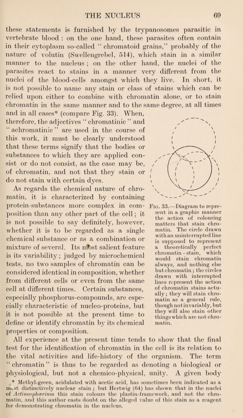 these statements is furnished by the trypanosomes parasitic in vertebrate blood : on the one hand, these parasites often contain in their cytoplasm so-called “ chromatoid grains,” probably of the nature of volutin (Swellengrebel, 514), which stain in a similar manner to the nucleus ; on the other hand, the nuclei of the parasites react to stains in a manner very different from the nuclei of the blood-cells amongst which they live. In short, it is not possible to name any stain or class of stains which can be relied upon either to combine with chromatin alone, or to stain chromatin in the same manner and to the same degree, at all times and in all cases* (compare Fig. 33). When, therefore, the adjectives “ chromatinic ” and “ achromatinic ” are used in the course of / \ this work, it must be clearly understood that these terms signify that the bodies or substances to which they are applied con¬ sist or do not consist, as the case may be, of chromatin, and not that they stain or do not stain with certain dyes. As regards the chemical nature of chro¬ matin, it is characterized by containing protein-substances more complex in com¬ position than any other part of the cell; it is not possible to say definitely, however, whether it is to be regarded as a single chemical substance or as a combination or mixture of severed. Its rr^bst salient feature is its variability; judged by microchemical tests, no two samples of chromatin can be considered identical in composition, whether from different cells or even from the same \ Fig. 33.—Diagram to repre¬ sent in a graphic manner the action of colouring matters that stain chro¬ matin. The circle drawn with an uninterrupted line is supposed to represent a theoretically perfect chromatin - stain, which would stain chromatin always, and nothing else but chromatin; the circles drawn with interrupted lines represent the action cell at different times. Certain substances, especially phosphorus-compounds, are espe¬ cially characteristic of nucleo-proteins, but it is not possible at the present time to define or identify chromatin by its chemical properties or composition. All experience at the present time tends of chromatin stains actu¬ ally ; they will stain chro¬ matin as a general rule, though not in variably, but they will also stain other things which are not chro¬ matin. to show that the final test for the identification of chromatin in the cell is its relation to the vital activities and life-history of the organism. The term “chromatin” is thus to be regarded as denoting a biological or physiological, but not a chemico-physical, unity. A given body * Methyl-green, acidulated with acetic acid, has sometimes been indicated as a most distinctively nuclear stain ; but Hertwig (64) has shown that in the nuclei of Actinosphcerium this stain colours the plastin-framcwork, and not the chro¬ matin, and this author casts doubt on the alleged value of this stain as a reagent for demonstrating chromatin in the nucleus.