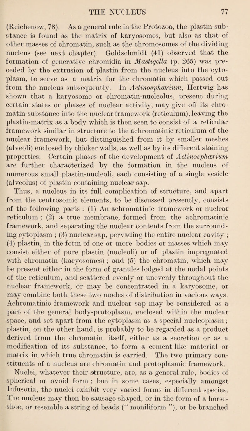 (Reichenow, 78). As a general rule in the Protozoa, the plastin-sub- stance is found as the matrix of karyosomes, but also as that of other masses of chromatin, such as the chromosomes of the dividing nucleus (see next chapter). Goldschmidt (41) observed that the formation of generative chromidia in Mastigella (p. 265) was pre¬ ceded by the extrusion of plastin from the nucleus into the cyto¬ plasm, to serve as a matrix for the chromatin which passed out from the nucleus subsequently. In Adinosphcerium, Hertwig has shown that a karyosome or chromatin-nucleolus, present during certain states or phases of nuclear activity, may give off its chro • matin-substance into the nuclear framework (reticulum), leaving the plastin-matrix as a body which is then seen to consist of a reticular framework similar in structure to the achromatinic reticulum of the nuclear framework, but distinguished from it by smaller meshes (alveoli) enclosed by thicker walls, as well as by its different staining properties. Certain phases of the development of Adinosphcerium are further characterized by the formation in the nucleus of numerous small plastin-nucleoli, each consisting of a single vesicle (alveolus) of plastin containing nuclear sap. Thus, a nucleus in its full complication of structure, and apart from the centrosomic elements, to be discussed presently, consists of the following parts : (1) An achromatinic framework or nuclear reticulum ; (2) a true membrane, formed from the achromatinic framework, and separating the nuclear contents from the surround¬ ing cytoplasm ; (3) nuclear sap, pervading the entire nuclear cavity ; (4) plastin, in the form of one or more bodies or masses which may consist either of pure plastin (nucleoli) or of plastin impregnated with chromatin (karyosomes) ; and (5) the chromatin, which may be present either in the form of granules lodged at the nodal points of the reticulum, and scattered evenly or unevenly throughout the nuclear framework, or may be concentrated in a karyosome, or may combine both these two modes of distribution in various ways. Achromatinic framework and nuclear sap may be considered as a part of the general body-protoplasm, enclosed within the nuclear space, and set apart from the cytoplasm as a special nucleoplasm; plastin, on the other hand, is probably to be regarded as a product derived from the chromatin itself, either as a secretion or as a modification of its substance, to form a cement-like material or matrix in which true chromatin is carried. The two primary con¬ stituents of a nucleus are chromatin and protoplasmic framework. Nuclei, whatever their structure, are, as a general rule, bodies of spherical or ovoid form ; but in some cases, especially amongst Infusoria, the nuclei exhibit very varied forms in different species. The nucleus may then be sausage-shaped, or in the form of a horse¬ shoe, or resemble a string of beads (“ moniliform ”), or be branched