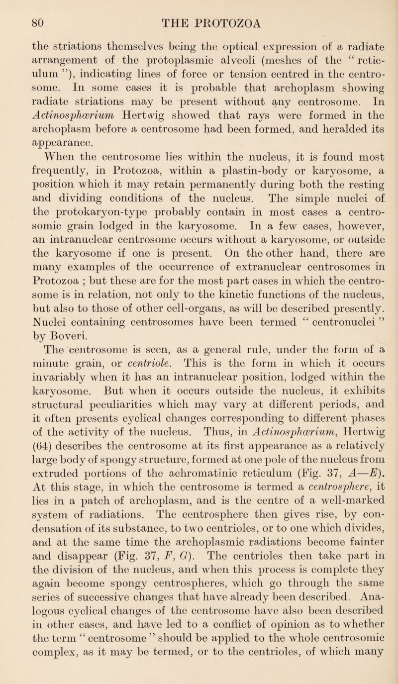 the striations themselves being the optical expression of a radiate arrangement of the protoplasmic alveoli (meshes of the “ retic¬ ulum ”), indicating lines of force or tension centred in the centro- some. In some cases it is probable that archoplasm showing radiate striations may be present without any centrosome. In Adinosphcerium Hertwig showed that rays were formed in the archoplasm before a centrosome had been formed, and heralded its appearance. When the centrosome lies within the nucleus, it is found most frequently, in Protozoa, within a plastin-body or karyosome, a position which it may retain permanently during both the resting and dividing conditions of the nucleus. The simple nuclei of the protokaryon-type probably contain in most cases a centro- somic grain lodged in the karyosome. In a few cases, however, an intranuclear centrosome occurs without a karyosome, or outside the karyosome if one is present. On the other hand, there are many examples of the occurrence of extranuclear centrosomes in Protozoa ; but these are for the most part cases in which the centro¬ some is in relation, not only to the kinetic functions of the nucleus, but also to those of other cell-organs, as will be described presently. Nuclei containing centrosomes have been termed “ centronuclei ” by Boveri. The centrosome is seen, as a general rule, under the form of a minute grain, or centriole. This is the form in which it occurs invariably when it has an intranuclear position, lodged within the karyosome. But when it occurs outside the nucleus, it exhibits structural peculiarities which may vary at different periods, and it often presents cyclical changes corresponding to different phases of the activity of the nucleus. Thus, in Adinosphcerium, Hertwig (64) describes the centrosome at its first appearance as a relatively large body of spongy structure, formed at one pole of the nucleus from extruded portions of the achromatinic reticulum (Fig. 37, A—E). At this stage, in which the centrosome is termed a centrosphere, it lies in a patch of archoplasm, and is the centre of a well-marked system of radiations. The centrosphere then gives rise, by con¬ densation of its substance, to two centrioles, or to one which divides, and at the same time the archoplasmic radiations become fainter and disappear (Fig. 37, F, G). The centrioles then take part in the division of the nucleus, and when this process is complete they again become spongy centrospheres, which go through the same series of successive changes that have already been described. Ana¬ logous cyclical changes of the centrosome have also been described in other cases, and have led to a conflict of opinion as to whether the term “ centrosome ” should be applied to the whole centrosomic complex, as it may be termed, or to the centrioles, of which many