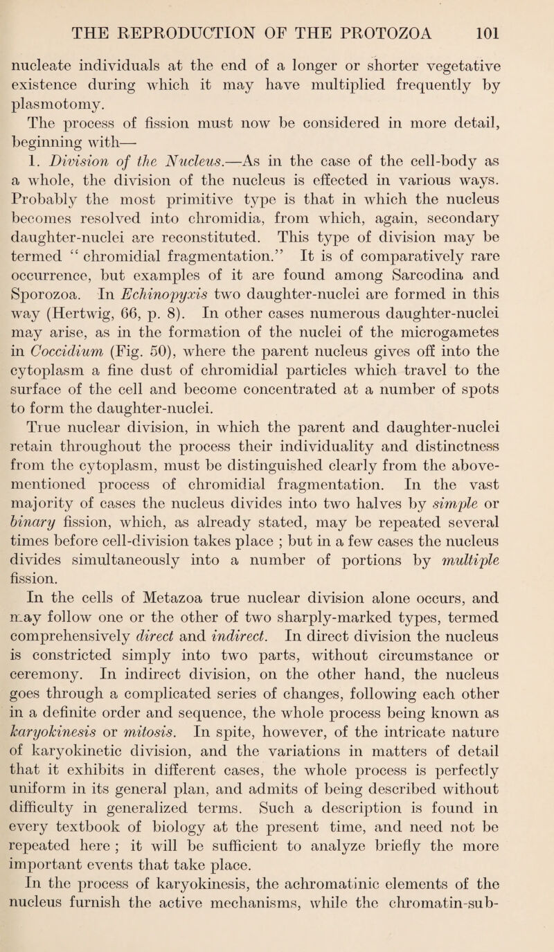 nucleate individuals at the end of a longer or shorter vegetative existence during which it may have multiplied frequently by plasmotomy. The process of fission must now be considered in more detail, beginning with—■ 1. Division of the Nucleus.—As in the case of the cell-body as a whole, the division of the nucleus is effected in various ways. Probably the most primitive type is that in which the nucleus becomes resolved into chromidia, from which, again, secondary daughter-nuclei are reconstituted. This type of division may be termed “ chromidial fragmentation.” It is of comparatively rare occurrence, but examples of it are found among Sarcodina and Sporozoa. In Echinopyxis two daughter-nuclei are formed in this way (Hertwig, 66, p. 8). In other cases numerous daughter-nuclei may arise, as in the formation of the nuclei of the microgametes in Coccidium (Fig. 50), where the parent nucleus gives off into the cytoplasm a fine dust of chromidial particles which travel to the surface of the cell and become concentrated at a number of spots to form the daughter-nuclei. True nuclear division, in which the parent and daughter-nuclei retain throughout the process their individuality and distinctness from the cytoplasm, must be distinguished clearly from the above- mentioned process of chromidial fragmentation. In the vast majority of cases the nucleus divides into two halves by simple or binary fission, which, as already stated, may be repeated several times before cell-division takes place ; but in a few cases the nucleus divides simultaneously into a number of portions by multiple fission. In the cells of Metazoa true nuclear division alone occurs, and may follow one or the other of two sharply-marked types, termed comprehensively direct and indirect. In direct division the nucleus is constricted simply into two parts, without circumstance or ceremony. In indirect division, on the other hand, the nucleus goes through a complicated series of changes, following each other in a definite order and sequence, the whole process being known as karyokinesis or mitosis. In spite, however, of the intricate nature of karyokinetic division, and the variations in matters of detail that it exhibits in different cases, the whole process is perfectly uniform in its general plan, and admits of being described without difficulty in generalized terms. Such a description is found in every textbook of biology at the present time, and need not be repeated here ; it will be sufficient to analyze briefly the more important events that take place. In the process of karyokinesis, the achromatinic elements of the nucleus furnish the active mechanisms, while the chromatin-sub-