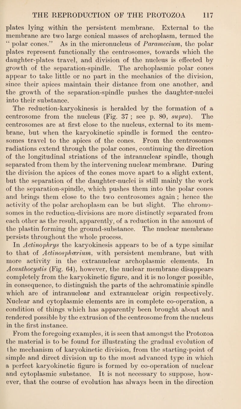 plates lying within the persistent membrane. External to the membrane are two large conical masses of archoplasm, termed the “ polar cones.” As in the micronucleus of Paramecium, the polar plates represent functionally the centrosomes, towards which the daughter-plates travel, and division of the nucleus is effected by growth of the separation-spindle. The archoplasmic polar cones appear to take little or no part in the mechanics of the division, since their apices maintain their distance from one another, and the growth of the separation-spindle pushes the daughter-nuclei into their substance. The reduction-karyokinesis is heralded by the formation of a centrosome from the nucleus (Fig. 37 ; see p. 80, supra). The centrosomes are at first close to the nucleus, external to its mem¬ brane, but when the karyokinetic spindle is formed the centro¬ somes travel to the apices of the cones. From the centrosomes radiations extend through the polar cones, continuing the direction of the longitudinal striations of the intranuclear spindle, though separated from them by the intervening nuclear membrane. During the division the apices of the cones move apart to a slight extent, but the separation of the daughter-nuclei is still mainly the work of the separation-spindle, which pushes them into the polar cones and brings them close to the two centrosomes again ; hence the activity of the polar archoplasm can be but slight. The chromo¬ somes in the reduction-divisions are more distinctly separated from each other as the result, apparently, of a reduction in the amount of the plastin forming the ground-substance. The nuclear membrane persists throughout the whole process. In Actinophrys the karyokinesis appears to be of a type similar to that of Actinosphcerium, with persistent membrane, but with more activity in the extranuclear archoplasmic elements. In Acanthocystis (Fig. 64), however, the nuclear membrane disappears completely from the karyokinetic figure, and it is no longer possible, in consequence, to distinguish the parts of the achromatinic spindle which are of intranuclear and extranuclear origin respectively. Nuclear and cytoplasmic elements are in complete co-operation, a condition of things which has apparently been brought about and rendered possible by the extrusion of the centrosome from the nucleus in the first instance. From the foregoing examples, it is seen that amongst the Protozoa the material is to be found for illustrating the gradual evolution of the mechanism of karyokinetic division, from the starting-point of simple and direct division up to the most advanced type in which a perfect karyokinetic figure is formed by co-operation of nuclear and cytoplasmic substance. It is not necessary to suppose, how¬ ever, that the course of evolution has always been in the direction