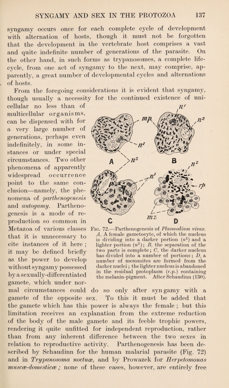 syngamy occurs once for each complete cycle of development with alternation of hosts, though it must not be forgotten that the development in the vertebrate host comprises a vast and quite indefinite number of generations of the parasite. On the other hand, in such forms as trypanosomes, a complete life- cycle, from one act of syngamy to the next, may comprise, ap¬ parently, a great number of developmental cycles and alternations of hosts. From the foregoing considerations it is evident that syngamy, though usually a necessity for the continued existence of uni¬ cellular no less than of multicellular organisms, can be dispensed with for a very large number of generations, perhaps even indefinitely, in some in¬ stances or under special circumstances. Two other phenomena of apparently widespread occurrence point to the same con¬ clusion—namely, the phe¬ nomena of parthenogenesis and autogamy. Partheno¬ genesis is a mode of re¬ production so common in Metazoa of various classes that it is unnecessary to cite instances of it here ; it may be defined briefly as the power to develop without syngamy possessed by a sexually-differentiated gamete, which under nor¬ mal circumstances could gamete of the opposite sex. To this it must be added that the gamete which has this power is always the female ; but this limitation receives an explanation from the extreme reduction of the body of the male gamete and its feeble trophic powers, rendering it quite unfitted for independent reproduction, rather than from any inherent difference between the two sexes in relation to reproductive activity. Parthenogenesis has been de¬ scribed by Schaudinn for the human malarial parasite (Fig. 72) and in Trypanosoma noctuce, and by Prowazek for Herpetomonas muscce-domesticce; none of these cases, however, are entirely free IV Fig. 72.-—-Parthenogenesis of Plasmodium vivax. A, A female gametocyte, of which the nucleus is dividing into a darker portion (n1) and a lighter portion (n2); B, the separation of the two parts is complete; C, the darker nucleus has divided into a number of portions ; D, a number of merozoites are formed from the darker nuclei; the lighter nucleus is abandoned in the residual protoplasm {r.p.) containing the melanin-pigment. After Schaudinn (130). do so only after syn gamy with a