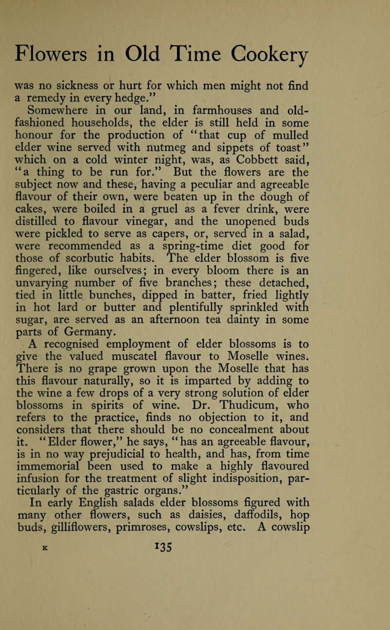 was no sickness or hurt for which men might not find a remedy in every hedge.” Somewhere in our land, in farmhouses and old- fashioned households, the elder is still held in some honour for the production of “that cup of mulled elder wine served with nutmeg and sippets of toast” which on a cold winter night, was, as Cobbett said, “a thing to be run for.” But the flowers are the subject now and these, having a peculiar and agreeable flavour of their own, were beaten up in the dough of cakes, were boiled in a gruel as a fever drink, were distilled to flavour vinegar, and the unopened buds were pickled to serve as capers, or, served in a salad, were recommended as a spring-time diet good for those of scorbutic habits. The elder blossom is five fingered, like ourselves; in every bloom there is an unvarying number of five branches; these detached, tied in little bunches, dipped in batter, fried lightly in hot lard or butter and plentifully sprinkled with sugar, are served as an afternoon tea dainty in some parts of Germany. A recognised employment of elder blossoms is to give the valued muscatel flavour to Moselle wines. There is no grape grown upon the Moselle that has this flavour naturally, so it is imparted by adding to the wine a few drops of a very strong solution of elder blossoms in spirits of wine. Dr. Thudicum, who refers to the practice, finds no objection to it, and considers that there should be no concealment about it. “Elder flower,” he says, “has an agreeable flavour, is in no way prejudicial to health, and has, from time immemorial been used to make a highly flavoured infusion for the treatment of slight indisposition, par¬ ticularly of the gastric organs.” In early English salads elder blossoms figured with many other flowers, such as daisies, daffodils, hop buds, gilliflowers, primroses, cowslips, etc. A cowslip