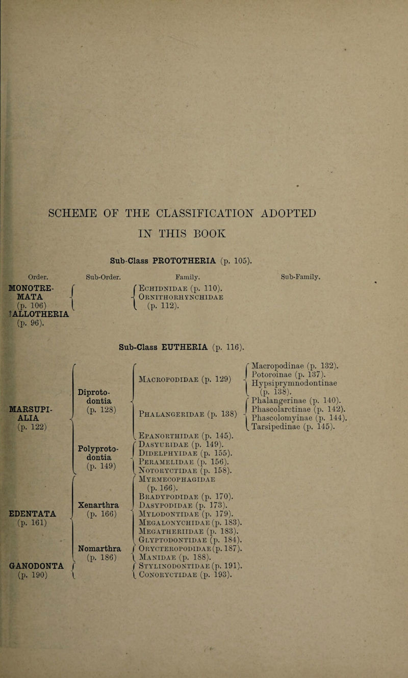 SCHEME OF THE CLASSIFICATION ADOPTED m THIS BOOK Order. MONOTRE- MATA (p. 106) ?ALLOTHERIA (p. 96). MARSUPI- ALIA (p. 122) EDENTATA (p. 161) GANODONTA (p. 190) Sub-Class PROTOTHERIA (p. 105). Sub-Order. Family. {Echidnidae (p. 110). Ornithorhynchidae (p. 112). Sub-Family. Sub-Class EUTHERIA (p. 116). Diproto- dontia (p. 128) Polyproto- dontia (p. 149) Macropodidae (p. 129) Xenarthra (p. 166) Nomarthra . (p. 186) r L Phalangeridae (p. 138) Epanorthidae (p. 145). Dasyuridae (p. 149). Didelphy'idae (p. 155). Peramelidae (p. 156). Notoryctidae (p. 158). Myrmeoophagidae (p. 166). Bradypodidae (p. 170). Dasy^podidae (p. 173). Mylodontidae (p. 179). Megaloisychidae (p. 183). Megatheriidae (p. 183). Glyptodontidae (p. 184). O RYOTEROPODIDAE (p. 187). Manidae (p. 188). Stylinodontidae (p. 191). CONOllYCTIDAE (p. 193). {Macropodinae (p. 132). Potoroinae (p. 137). Hypsiprymnodontinae (p. 138). f Phalangerinae (p. 140). I Phascolarctinae (p. 142). | Phascolomyinae (p. 144). ^ Tarsipedinae (p. 145).