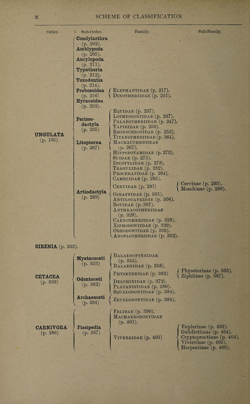 Order. UNGULATA (p. 195) • Sub-Order. f Condylarthra (p. 202). Amblypoda (p. 205). Ancylopoda (p. 211). Typotheria (p. 212). Toxodontia (p. 214). Proboscidea (p. 216) Hyracoidea (p. 232). Perisso- dactyla (p. 235) Litopterna (p. 267) Artiodactyla (p. 269) SIRENIA (p. 333). CETACEA (p. 339) CARNIVORA (p. 386) Mystacoceti (p. 353) Odontoceti (p. 362) Archaeoceti (p. 384) Fissipedia (p. 387) Family. Sub-Family. f Elephantidae (p. 217). \ Dinotheriidae (p. 231). ' Equidae (p. 237). Lophiodontidae (p. 247). Palaeotheriidae (p. 247). Tapiridae (p. 250). Rhinocerotidae (p. 253). , TlTANOTHERIIDAE(p. 264). / Macraucheniidae l (p. 267). Hippopotamidae (p. 273). Suidae (p. 275). Dicotylidae (p. 278). Tragulidae (p. 282). Proceratidae (p. 284). Camelidae (p. 285). Cervidae (p. 291) -| Giraffidae (p* 301). Antilocapridae (p. 306). Bovidae (p. 307). Anthracotheriidae (p. 328). Caeeotheriidae (p. 329). XlPHODONTIDAE (p. 329). Oreodontidae (p. 330). ^ Anoplotheriidae (p. 332). Cervinae (p. 293). Moschinae (p. 299). ! Balaenopteridae 4 (p. 355). (Balaenidae (p. 358). [ Physeteridae (p. 362) - Delphixidae (p. 372). Platanistidae (p. 380). v Sqealodontidae (p. 384). | Zeuglodontidae (p. 384). f Pliyseterinae (p. 363). ( Ziphiinae (p. 367). r Felidae (p. 390). Machaerodontidae (p. 401). VlYERRIDAE (p. 403) r Euplerinae (p. 403). Galidictiinae (p. 404). Cryptoproctinae (p. 404). Viverrinae (p. 405). Herpestinae (p. 409).