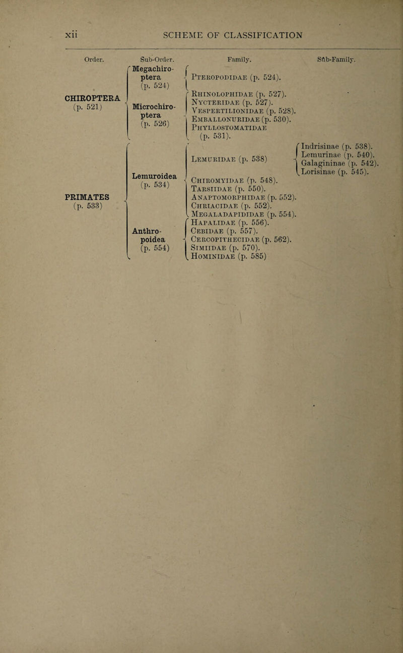 Order. Sub-Order. '' Megachiro- ptera (p. 524) CHIROPTERA (p. 521) Microchiro- ptera (p. 526) Vw r PRIMATES (p. 533) Lemuroidea (p. 534) Anthro- poidea (p. 554) Family. Pteropodidae (p. 524). > Rhinolophidae (p. 527). Nycteridae (p. 527). Yespertilionidae (p. 528). Emballonuridae (p. 530). Phyllostomatidae l (p. 531). Lemuridae (p. 538) j < Chiromyidae (p. 548). Tarsiidae (p. 550). Anaptomorphidae (p. 552). Chriacidae (p. 552). v. Megaladapididae (p. 554).  Hapalidae (p. 556). Cebidae (p. 557). - Cercopithecidae (p. 562). SlMIIDAE (p. 570). \ Hominidae (p. 585) Sftb-Family. Indrisinae (p. 538). Lemurinae (p. 540). Galagininae (p. 542)