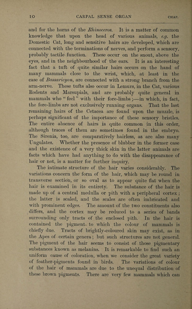 IO CARPAL SENSE ORGAN and for the horns of the Rhinoceros. It is a matter of common knowledge that upon the head of various animals, e.g. the Domestic Cat, long and sensitive hairs are developed, which are connected with the terminations of nerves, and perform a sensory, probably tactile function. These occur on the snout, above the eyes, and in the neighbourhood of the ears. It is an interesting fact that a tuft of quite similar hairs occurs on the hand of many mammals close to the wrist, which, at least in the case of Bassaricyon, are connected with a strong branch from the arm-nerve. These tufts also occur in Lemurs, in the Cat, various Rodents and Marsupials, and are probably quite general in mammals who “ feel ” with their fore-limbs ;—in which, in fact, the fore-limbs are not exclusively running organs. That the last remaining hairs of the Cetacea are found upon the muzzle, is perhaps significant of the importance of these sensory bristles. The entire absence of hairs is quite common in this order, although traces of them are sometimes found in the embryo. The Sirenia, too, are comparatively hairless, as are also many Ungulates. Whether the presence of blubber in the former case and the existence of a very thick skin in the latter animals are facts which have had anything to do with the disappearance of hair or not, is a matter for further inquiry. The intimate structure of the hair varies considerably. The variations concern the form of the hair, which may be round in transverse section, or so oval as to appear quite flat when the hair is examined in its entirety. The substance of the hair is made up of a central medulla or pith with a peripheral cortex ; the latter is scaled, and the scales are often imbricated and with prominent edges. The amount of the two constituents also differs, and the cortex may be reduced to a series of bands surrounding only tracts of the enclosed pith. In the hair is contained the pigment, to which the colour of mammals is chiefly due. Tracts of brightly-coloured skin may exist, as in the Apes of certain genera; but such structures are not general. The pigment of the hair seems to consist of those pigmentary substances known as melanins. It is remarkable to find such an uniform cause of coloration, when we consider the great variety of feather-pigments found in birds. The variations of colour of the hair of mammals are due to the unequal distribution of these brown pigments. There are very few mammals which can