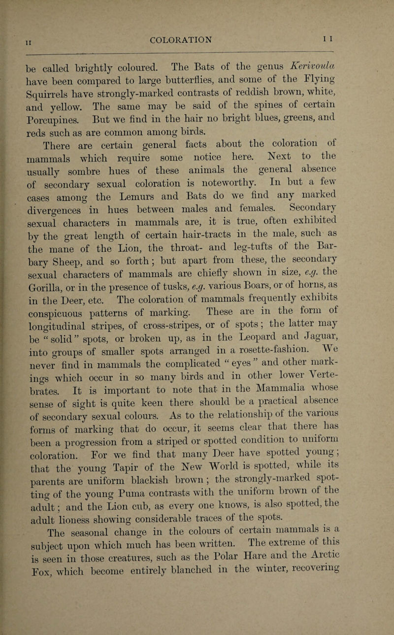 be called brightly coloured. The Bats of the genus ICerivoula have been compared to large butterflies, and some of the Flying Squirrels have strongly-marked contrasts of reddish brown, white, and yellow. The same may be said of the spines of certain Porcupines. But we find in the hair no bright blues, greens, and reds such as are common among birds. There are certain general facts about the coloration of mammals which require some notice here. Next to the usually sombre hues of these animals the general absence of secondary sexual coloration is noteworthy. In but a few cases among the Lemurs and Bats do we find any marked divergences in hues between males and females. Secondary sexual characters in mammals are, it is true, often exhibited by the great length of certain hair-tracts in the male, such as the mane of the Lion, the throat- and leg-tufts of the Bar¬ bary Sheep, and so forth \ but apart from these, the secondary sexual characters of mammals are chiefly shown in size, e.g. the Gorilla, or in the presence of tusks, e.g. various Boars, or of horns, as in the Deer, etc. The coloration of mammals frequently exhibits conspicuous patterns of marking. These are in the form of longitudinal stripes, of cross-stripes, or of spots; the latter may be “ solid ” spots, or broken up, as in the Leopard and Jaguar, into groups of smaller spots arranged in a rosette-fashion. We never find in mammals the complicated “ eyes ’ and other mark¬ ings which occur in so many birds and in other lower \ erte- brates. It is important to note that in the Mammalia whose sense of sight is quite keen there should be a practical absence of secondary sexual colours. As to the relationship of the \ arious forms of marking that do occur, it seems clear that there ^ has been a progression from a striped or spotted condition to uniform coloration. For we find that many Deer have spotted young; that the young Tapir of the New World is spotted, while its parents are uniform blackish brown ; the strongly-marked spot¬ ting of the young Puma contrasts with the uniform brown of the adult; and the Lion cub, as every one knows, is also spotted, the adult lioness showing considerable traces of the spots. The seasonal change in the colours of certain mammals is a subject upon which much has been written. The extreme of this is seen in those creatures, such as the Polar Hare and the Arctic Fox. which become entirely blanched in the winter, leco’vering