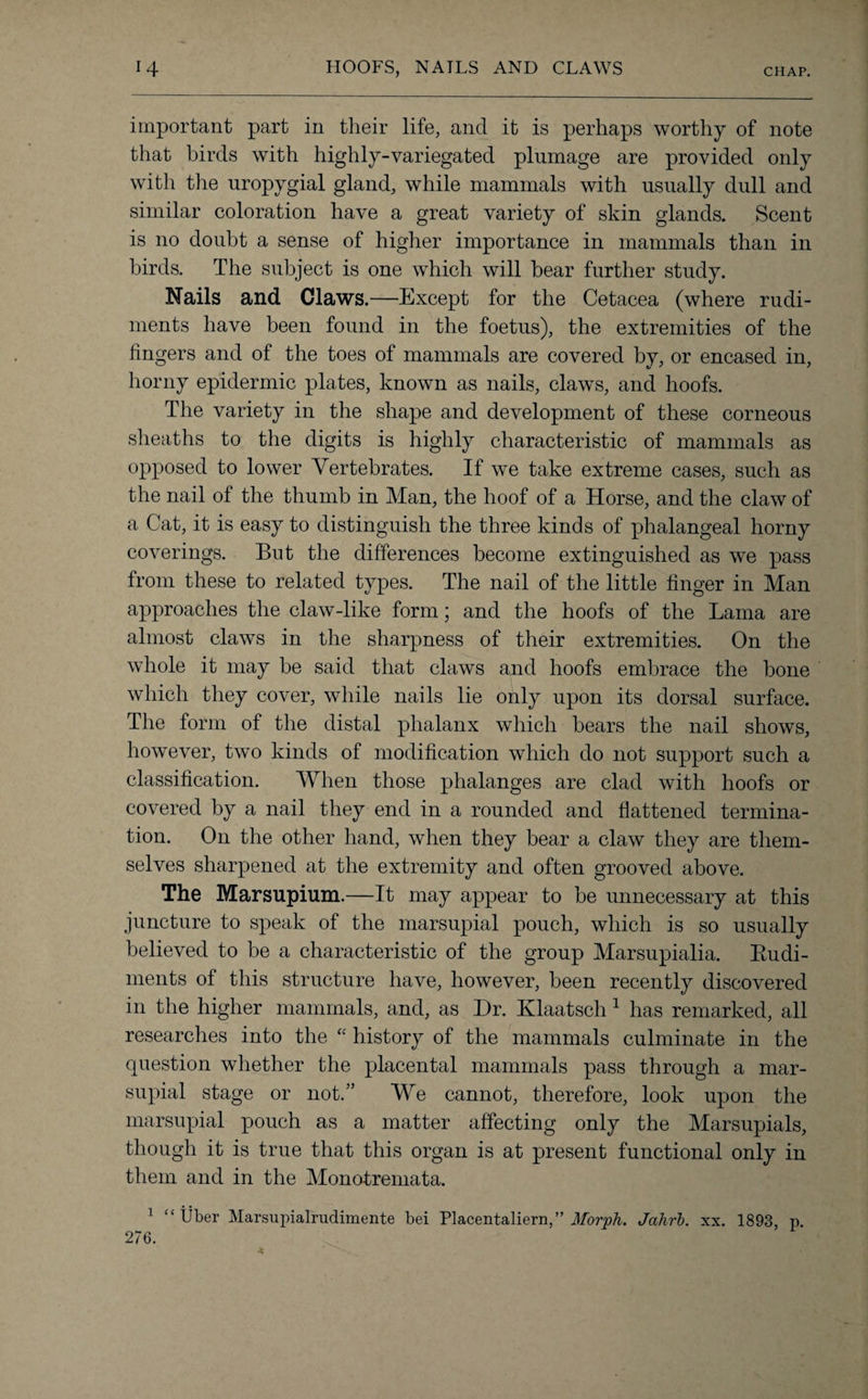 important part in their life, and it is perhaps worthy of note that birds with highly-variegated plumage are provided only with the uropygial gland, while mammals with usually dull and similar coloration have a great variety of skin glands. Scent is no doubt a sense of higher importance in mammals than in birds. The subject is one which will bear further study. Nails and Claws.—Except for the Cetacea (where rudi¬ ments have been found in the foetus), the extremities of the fingers and of the toes of mammals are covered by, or encased in, horny epidermic plates, known as nails, claws, and hoofs. The variety in the shape and development of these corneous sheaths to the digits is highly characteristic of mammals as opposed to lower Vertebrates. If we take extreme cases, such as the nail of the thumb in Man, the hoof of a Horse, and the claw of a Cat, it is easy to distinguish the three kinds of phalangeal horny coverings. But the differences become extinguished as we pass from these to related types. The nail of the little finger in Man approaches the claw-like form; and the hoofs of the Lama are almost claws in the sharpness of their extremities. On the whole it may be said that claws and hoofs embrace the bone which they cover, while nails lie only upon its dorsal surface. The form of the distal phalanx which bears the nail shows, however, two kinds of modification which do not support such a classification. When those phalanges are clad with hoofs or covered by a nail they end in a rounded and flattened termina¬ tion. On the other hand, when they bear a claw they are them¬ selves sharpened at the extremity and often grooved above. The Marsupium.—It may appear to be unnecessary at this juncture to speak of the marsupial pouch, which is so usually believed to be a characteristic of the group Marsupialia. Budi- ments of this structure have, however, been recently discovered in the higher mammals, and, as Dr. Klaatsch 1 has remarked, all researches into the “ history of the mammals culminate in the question whether the placental mammals pass through a mar¬ supial stage or not.” We cannot, therefore, look upon the marsupial pouch as a matter affecting only the Marsupials, though it is true that this organ is at present functional only in them and in the Monotremata. 1 “liber Marsupialrudimente bei Placentaliern,” Morph. Jahrb. xx. 1893, p. 276.