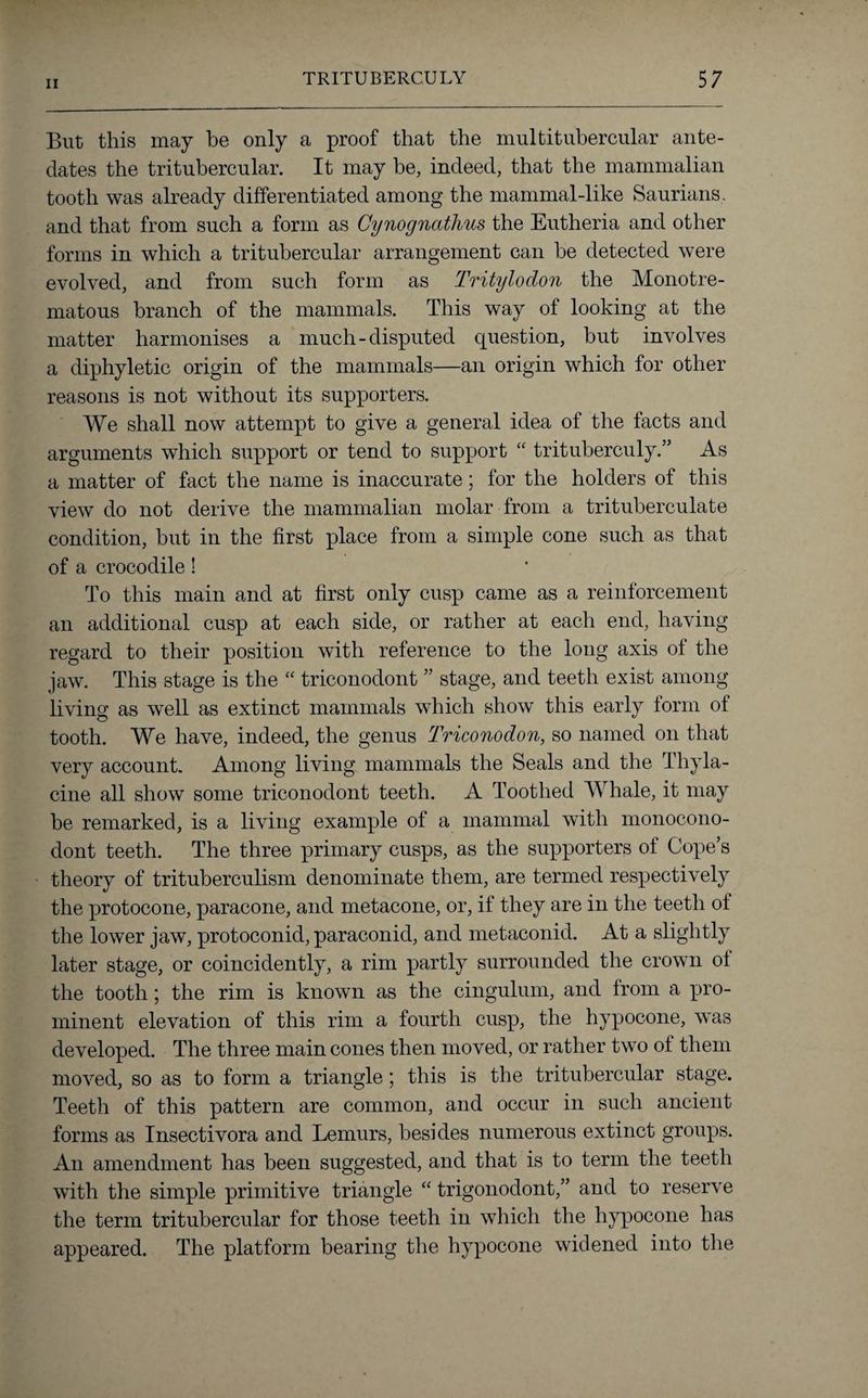But this may be only a proof that the multitubercular ante¬ dates the tritnbercular. It may be, indeed, that the mammalian tooth was already differentiated among the mammal-like Saurians, and that from such a form as Cynognathus the Eutheria and other forms in which a tritubercular arrangement can be detected were evolved, and from such form as Tritylodon the Monotre- matous branch of the mammals. This way of looking at the matter harmonises a much-disputed question, but involves a diphyletic origin of the mammals—an origin which for other reasons is not without its supporters. We shall now attempt to give a general idea of the facts and arguments which support or tend to support “ trituberculy.” As a matter of fact the name is inaccurate; for the holders of this view do not derive the mammalian molar from a trituberculate condition, but in the first place from a simple cone such as that of a crocodile! To this main and at first only cusp came as a reinforcement an additional cusp at each side, or rather at each end, having regard to their position with reference to the long axis of the jaw. This stage is the “ triconodont ” stage, and teeth exist among living as well as extinct mammals which show this early form of tooth. We have, indeed, the genus Triconodon, so named on that very account. Among living mammals the Seals and the Thyla- cine all show some triconodont teeth. A Toothed Whale, it may be remarked, is a living example of a mammal with monocono- dont teeth. The three primary cusps, as the supporters of Cope’s theory of trituberculism denominate them, are termed respectively the protocone, paracone, and metacone, or, if they are in the teeth of the lower jaw, protoconid, paraconid, and metaconid. At a slightly later stage, or coincidently, a rim partly surrounded the crown of the tooth ; the rim is known as the cingulum, and from a pro¬ minent elevation of this rim a fourth cusp, the hypocone, was developed. The three main cones then moved, or rather two of them moved, so as to form a triangle; this is the tritubercular stage. Teeth of this pattern are common, and occur in such ancient forms as Insectivora and Lemurs, besides numerous extinct groups. An amendment has been suggested, and that is to term the teeth with the simple primitive triangle “ trigonodont,” and to reserve the term tritubercular for those teeth in which the hypocone has appeared. The platform bearing the hypocone widened into the