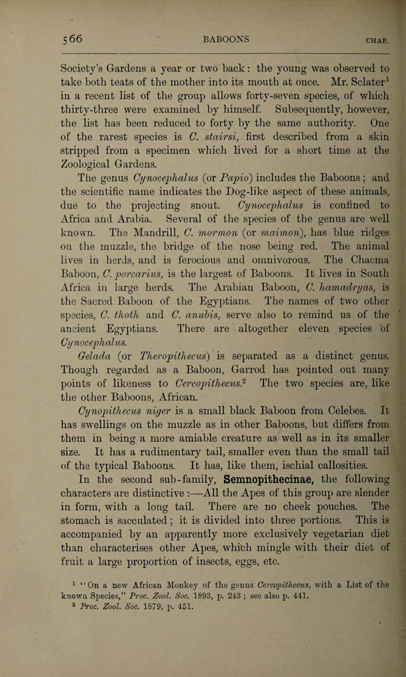 Society’s Gardens a year or two back: the young was observed to take both teats of the mother into its mouth at once. Mr. Sclater1 in a recent list of the group allows forty-seven species, of which thirty-three were examined by himself. Subsequently, however, the list has been reduced to forty by the same authority. One of the rarest species is C. stairsi, first described from a skin stripped from a specimen which lived for a short time at the Zoological Gardens. The genus Cynocephalus (or Papio) includes the Baboons ; and the scientific name indicates the Dog-like aspect of these animals, due to the projecting snout. Cynocephalus is confined to Africa and Arabia. Several of the species of the genus are well known. The Mandrill, C. mormon (or maimon), has blue ridges on the muzzle, the bridge of the nose being red. The animal lives in herds, and is ferocious and omnivorous. The Chacma Baboon, C. porcarius, is the largest of Baboons. It lives in South Africa in large herds. The Arabian Baboon, C. hamadryas, is the Sacred Baboon of the Egyptians. The names of two other species, C. thoth and C. ctnubis, serve also to remind us of the ancient Egyptians. There are altogether eleven species of Cynocephalus. Gelada (or Theropitliecus) is separated as a distinct genus. Though regarded as a Baboon, Garrod has pointed out many points of likeness to Cercopithecus.2 The two species are, like the other Baboons, African. Cynopithecus niger is a small black Baboon from Celebes. It has swellings on the muzzle as in other Baboons, but differs from them in being a more amiable creature as well as in its smaller size. It has a rudimentary tail, smaller even than the small tail of the typical Baboons. It has, like them, ischial callosities. In the second sub-family, Semnopithecinae, the following characters are distinctive :—All the Apes of this group are slender in form, with a long tail. There are no cheek pouches. The stomach is sacculated ; it is divided into three portions. This is accompanied by an apparently more exclusively vegetarian diet than characterises other Apes, which mingle with their diet of fruit a large proportion of insects, eggs, etc. 1 “On a new African Monkey of the genus Cercopithecus, with a List of the known Species,” Proc. Zool. Soc. 1893, p. 243 ; see also p. 441. 2 Proc. Zool. Soc. 1879, p. 451.