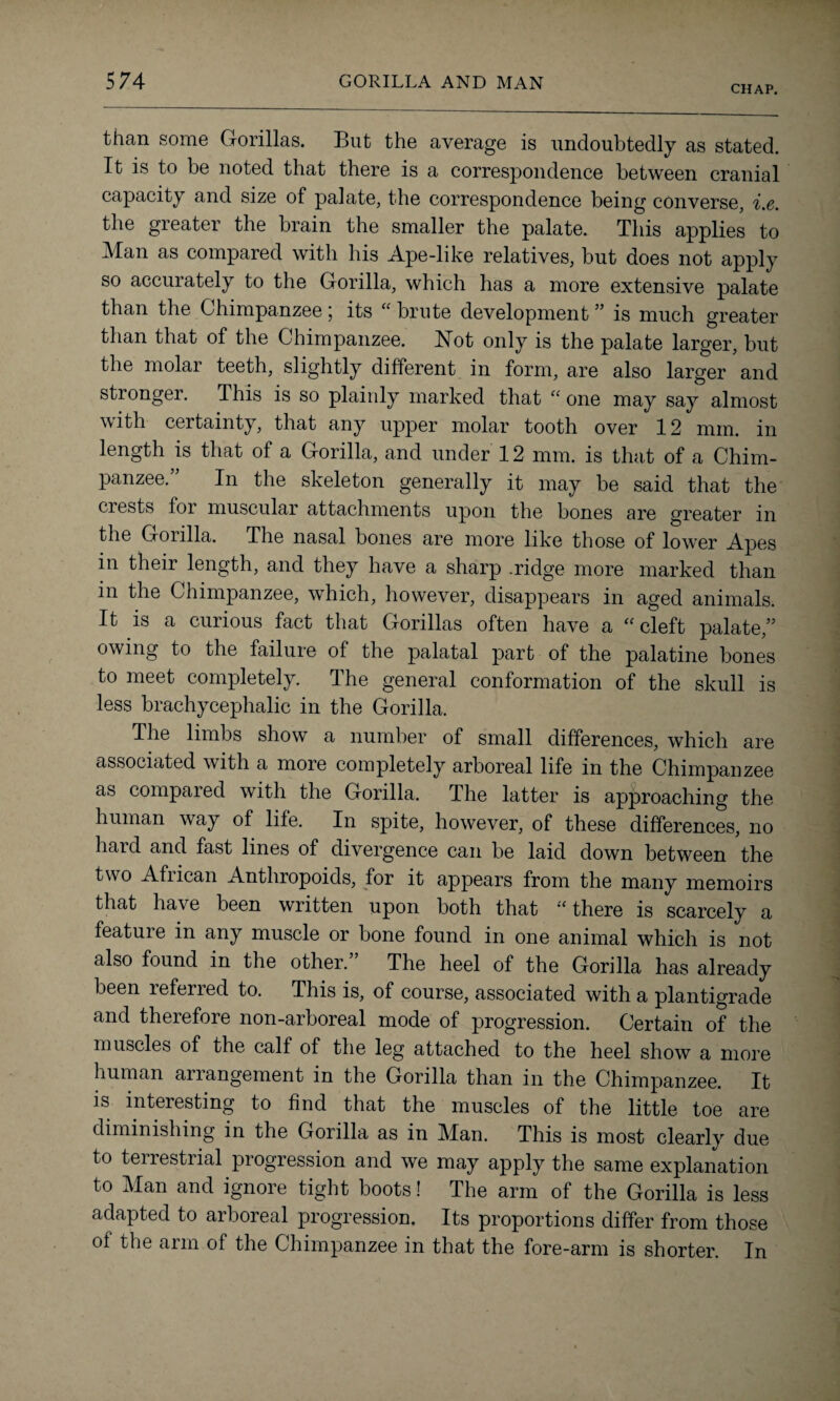 CHAP. than some Gorillas. But the average is undoubtedly as stated. It is to be noted that there is a correspondence between cranial capacity and size of palate, the correspondence being converse, i.e. the greater the brain the smaller the palate. This applies to Man as compared with his Ape-like relatives, but does not apply so accurately to the Gorilla, which has a more extensive palate than the Chimpanzee; its “ brute development ” is much greater than that of the Chimpanzee. Not only is the palate larger, but the molar teeth, slightly different in form, are also larger and stronger. This is so plainly marked that “ one may say almost with certainty, that any upper molar tooth over 12 mm. in length is that of a Gorilla, and under 12 mm. is that of a Chim¬ panzee. In the skeleton generally it may be said that the crests foi muscular attachments upon the bones are greater in the Gorilla. The nasal bones are more like those of lower Apes in their length, and they have a sharp .ridge more marked than in the Chimpanzee, which, however, disappears in aged animals. It is a curious fact that Gorillas often have a “ cleft palate,” owing to the failure of the palatal part of the palatine bones to meet completely. The general conformation of the skull is less brachycephalic in the Gorilla. The limbs show a number of small differences, which are associated with a more completely arboreal life in the Chimpanzee as compared with the Gorilla. The latter is approaching the human way of life. In spite, however, of these differences, no hard and fast lines of divergence can be laid down between the two Afiican Anthropoids, for it appears from the many memoirs that have been written upon both that “there is scarcely a feature in any muscle or bone found in one animal which is not also found in the other.” The heel of the Gorilla has already been referred to. This is, of course, associated with a plantigrade and therefore non-arboreal mode of progression. Certain of the muscles of the calf of the leg attached to the heel show a more human arrangement in the Gorilla than in the Chimpanzee. It is interesting to find that the muscles of the little toe are diminishing in the Gorilla as in Man. This is most clearly due to terrestrial progression and we may apply the same explanation to Man and ignore tight boots! The arm of the Gorilla is less adapted to arboreal progression. Its proportions differ from those of the arm of the Chimpanzee in that the fore-arm is shorter. In