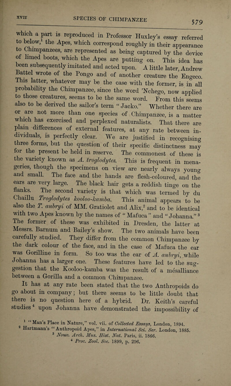 579 which a part is reproduced in Professor Huxley’s essay referred to below, the Apes, which correspond roughly in their appearance to Chimpanzees, are represented as being captured by the device oi limed boots, which the Apes are putting on. This idea has been subsequently imitated and acted upon. A little later, Andrew Battel wrote of the Pongo and of another creature the Engeeo. This latter, whatever may be the case with the former, is in all probability the Chimpanzee, since the word ’Kchego, now applied to those creatures, seems to be the same word. From this seems also to be derived the sailor’s term “ Jacko.” Whether there are or are not more than one species of Chimpanzee, is a matter which has exercised and perplexed naturalists. That there are plain differences of external features, at any rate between in¬ dividuals, is perfectly clear. We are justified in recognising three forms, but the question of their specific distinctness may for the present be held in reserve. The commonest of these is the variety known as A. troglodytes. This is frequent in mena¬ geries, though the specimens on view are nearly always young and small. The face and the hands are flesh-coloured, and the ears are very large. The black hair gets a reddish tinge on the flanks. The second variety is that which was termed by du Chaillu Troglodytes kooloo-kamba. This animal appears to be also the T. aubryi of MM. Gratiolet and Alix,2 and to be identical with two Apes known by the names of “ Mafuca ” and “ Johanna.” 3 The former of these was exhibited in Dresden, the latter at Messis. Barnum and Bailey’s show. The two animals have been carefully studied. They differ from the common Chimpanzee by the dark colour of the face, and in the case of Mafuca the ear was Gorilline in form. So too was the ear of A. aubryi, while Johanna has a larger one. These features have led to the sug¬ gestion that the Kooloo-kamba was the result of a mesalliance between a Gorilla and a common Chimpanzee. It has at any rate been stated that the two Anthropoids do go about in company; but there seems to be little doubt that there is no question here of a hybrid. Dr. Keith’s careful studies upon Johanna have demonstrated the impossibility of Man s Place in Nature,” vol. vii. of Collected Essays, London, 1894. 2 Hartmann’s “Anthropoid Apes,” in International Sci. Ser. London, 1885. 3 Nouv. Arch. Mus. Hist. Nat. Paris, ii. 1866.
