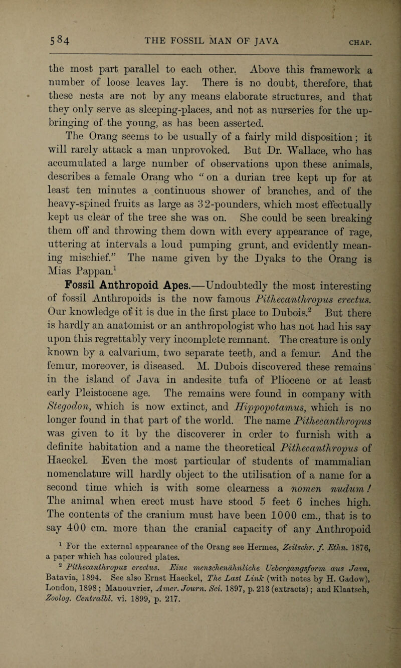 CHAP. the most part parallel to each other. Above this framework a number of loose leaves lay. There is no doubt, therefore, that these nests are not by any means elaborate structures, and that they only serve as sleeping-places, and not as nurseries for the up¬ bringing of the young, as has been asserted. The Orang seems to be usually of a fairly mild disposition; it will rarely attack a man unprovoked. But Dr. Wallace, who has accumulated a large number of observations upon these animals, describes a female Orang who “ on a durian tree kept up for at least ten minutes a continuous shower of branches, and of the heavy-spined fruits as large as 3 2-pounders, which most effectually kept us clear of the tree she was on. She could be seen breaking them off and throwing them down with every appearance of rage, uttering at intervals a loud pumping grunt, and evidently mean¬ ing mischief.” The name given by the Dyaks to the Orang is Mias Pappan.1 Fossil Anthropoid Apes.—Undoubtedly the most interesting of fossil Anthropoids is the now famous Pithecanthropus erectus. Our knowledge of it is due in the first place to Dubois.2 But there is hardly an anatomist or an anthropologist who has not had his say upon this regrettably very incomplete remnant. The creature is only known by a calvarium, two separate teeth, and a femur. And the femur, moreover, is diseased. M. Dubois discovered these remains in the island of Java in andesite tufa of Pliocene or at least early Pleistocene age. The remains were found in company with Stegodon, which is now extinct, and Hippopotamus, which is no longer found in that part of the world. The name Pithecanthropus was given to it by the discoverer in order to furnish with a definite habitation and a name the theoretical Pithecanthropus of Haeckel. Even the most particular of students of mammalian nomenclature will hardly object to the utilisation of a name for a second time which is with some clearness a nomen nudum! The animal when erect must have stood 5 feet 6 inches high. The contents of the cranium must have been 1000 cm., that is to say 400 cm. more than the cranial capacity of any Anthropoid 1 For the external appearance of the Orang see Hermes, Zeitschr. f. Ethn. 1876, a paper which has coloured plates. 2 Pithecanthropus erectus. Eine menschendhnliche Uebcrgangsform aus Java, Batavia, 1894. See also Ernst Haeckel, The Last Link (with notes by H. Gadow), London, 1898 ; Manouvrier, Amer. Journ. Sci. 1897, p. 213 (extracts); and Klaatsch, Zoolog. Centralbl. vi. 1899, p. 217.