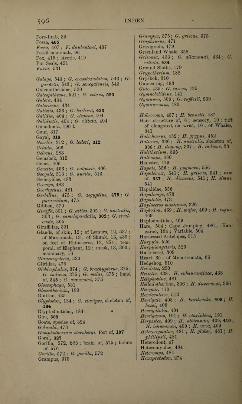 Fore-limb, 39 Fossa, 405 Fossa, 407 ; F. daubentoni, 407 Fossil mammals, 96 Fox, 419 ; Arctic, 419 Fur Seals, 451 Faria, 531 Galago, 543 ; G. crassicaudatus, 543 ; G. garnetti, 543 ; G. senegalensis, 543 Galeopithecidae, 520 Galeopithecus, 521 ; G. volans, 520 Galera, 434 Galeriscus, 434 Galictis, 433 ; G. barbara, 433 Galidia, 404 ; G. elegans, 404 Galidictis, 404 ; G. vittata, 404 Ganodonta, 190 f. Gaur, 317 Gayal, 318 Gazella, 312 ; G. loderi, 312 Gelada, 566 Gelocus, 283 Gemsbok, 315 Genet, 406 Genetta, 406 ; G. vulgaris, 406 Geogale, 513 ; G. aurita, 513 Geomyidae, 483 Geomys, 483 Georhychus, 481 Gerbillus, 475 ; G. aegyptius, 475 ; G. pyramiduvi, 475 Gibbon, 570 Giraffa, 301 ; G. attica, 305 ; G. australis, 303 ; G. Camelopardalis, 302 ; G. sival- ensis, 305 Giraffidae, 301 Glands, of skin, 12 ; of Lemurs, 12, 537 ; of Marsupials, 13 ; of Skunk, 13, 439 ; on feet of Rhinoceros, 13, 254 ; tem¬ poral, of Elephant, 12 ; musk, 13, 300 ; mammary, 16 Glauconycteris, 530 Gliridae, 470 Globicephalus, 374 ; G. brachypterus, 375 ; G. inclicus, 375 ; G. melas, 375 ; hand of, 345 ; G. scammoni, 375 Glossophaga, 531 Glossotherium, 180 Glutton, 435 Glyptodon, 184 ; G. clavipes, skeleton of, 184 Glyptodontidae, 184 • Gnu, 309 Goats, species of, 324 Golunda, 473 Gomphotherium sternbergi, foot of, 197 Goral, 327 Gorilla, 572, 573 ; brain of, 575 ; habits of, 576 Gorilla, 572 ; G. gorilla, 572 Grampus, 375 Grampus, 375; G. griseus, 375 Graphiurus, 471 Gravigrada, 179 Greenland Whale, 358 Grisonia, 433 ; G. allamandi, 434 ; G. vittata, 434 Ground Sloths, 179 Grypotherium, 182 Grysbok, 310 Guinea-pig, 493 Gulo, 435 ; G. luscus, 435 Gymnobelideus, 141 Gymnura, 509 ; G. rajjlesii, 509 Gymnuromys, 480 Habrocoma, 487 ; H. bennetti, 487 Hair, structure of, 6 ; sensory, 10 ; tuft of elongated, on wrist, 10 ; of Whales, 341 Halichoerus, 452 ; H. grypus, 452 Halicore, 336 ; II. australis, skeleton of, 336 ; H. dugong, 337 ; II. indicus, 33 Halitherium, 335 Hallomys, 480 Hamster, 479 Hapale, 556 ; H. pygmaea, 556 Ilapalemur, 541 ; II. griseus, 541 ; arm of, 537 ; II. olivaceus, 541; H. simus, 541 Hapalidae, 556 Hapalomys, 473 Hapalotis, 473 Haploceros montanus, 326 Haplodon, 469 ; H. major, 469 ; II. rufus, 469 Haplodontidae, 469 Hare, 504 ; Cape Jumping, 486 ; -Kan¬ garoo, 134 ; Variable, 504 Harnessed Antelopes, 315 Harpy La, 526 Harpyionycteris, 526 Hartebeest, 309 Heart, 65 ; of Monotremata, 66 Hedgehog, 510 Helaletes, 250 Helictis, 438 ; II. subaurantiaca, 438 Heliphobius, 481 Helladotherium, 306 ; H. duvernoyi, 306 Helogale, 410 Hemicentetes, 512 Hemigale, 408 ; H. hardwicki, 408 ; II. hosei, 408 Hemigalidia, 404 Hemiganus, 191 ; H. otariidens, 191 Herpestes, 409 ; H. albicauda;, 409, 410 ; II. ichneumon, 409 ; II. urva, 409 Heterocephalus, 481 ; H. glaber, 481 ; II. phillipsii, 481 Heterodont, 47 Heteromyidae, 484 Heteromys, 484 Hexaprotodon, 274