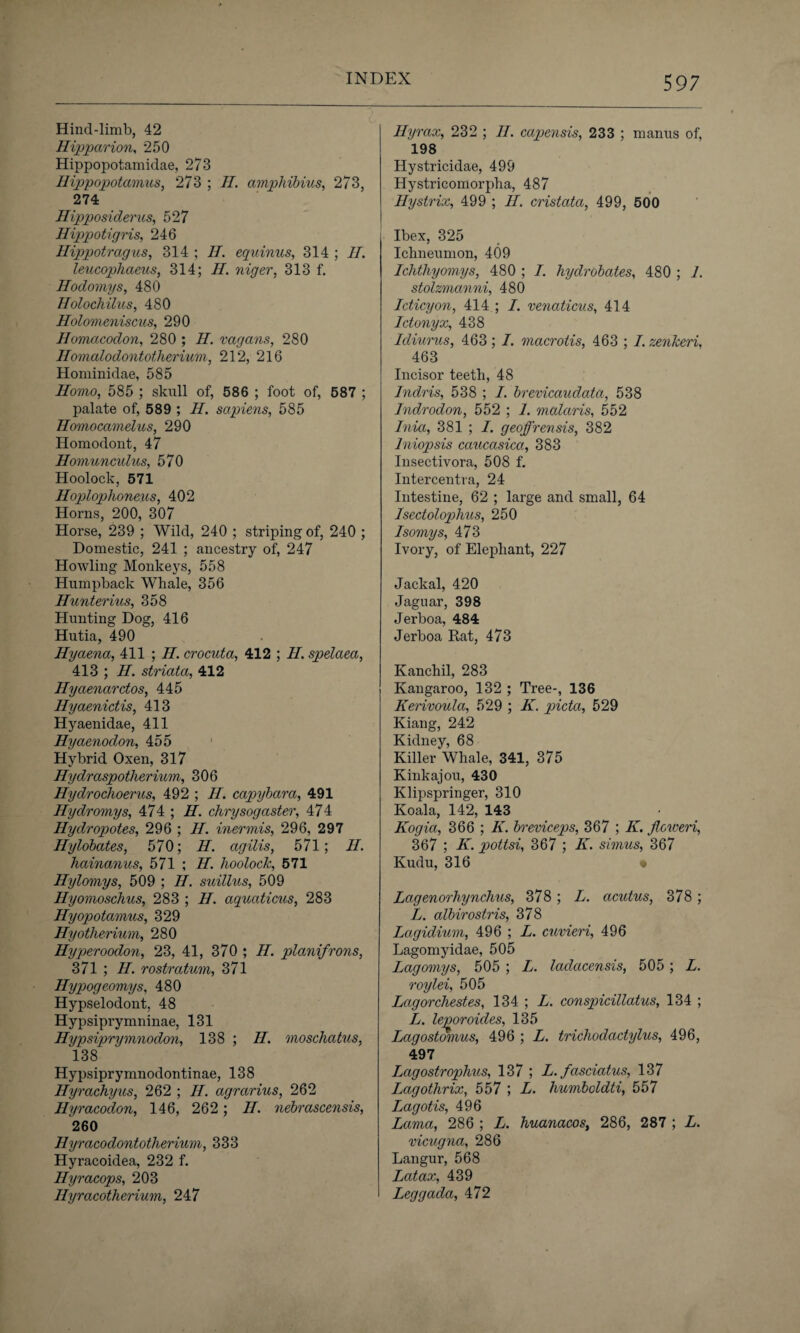 Hind-limb, 42 Hipparion, 250 Hippopotamidae, 273 Hippopotamus, 273 ; II. amphibius, 273, 274 Hipposiderus, 527 Hippotigris, 246 Ilippotragus, 314 ; II. equinus, 314 ; IT. leucophaeus, 314; H. niger, 313 f. Hodomys, 480 Holochilus, 480 Holomeniscus, 290 Homacodon, 280 ; II. vagans, 280 Homalodontotherium, 212, 216 Hominidae, 585 Homo, 585 ; skull of, 586 ; foot of, 587 ; palate of, 589 ; H. sapiens, 585 Homocamelus, 290 Homodont, 47 Homunculus, 570 Hoolock, 571 Hoplophoneus, 402 Horns, 200, 307 Horse, 239 ; Wild, 240 ; striping of, 240 ; Domestic, 241 ; ancestry of, 247 Howling Monkeys, 558 Humpback Whale, 356 Hunterius, 358 Hunting Dog, 416 Hutia, 490 Hyaena, 411 ; H. crocuta, 412 ; II. spelaea, 413 ; H. striata, 412 Hyaenarctos, 445 Hyaenictis, 413 Hyaenidae, 411 Hyaenodon, 455 Hybrid Oxen, 317 Hydraspotherium, 306 Hydrochoerus, 492 ; II. capybara, 491 Hydromys, 474 ; H. chrysogaster, 474 Hydropotes, 296 ; H. inermis, 296, 297 Hylobates, 570; H. agilis, 571; H. hainanus, 571 ; H. hoolock, 571 Hylomys, 509 ; H. suillus, 509 Hyomoschus, 283 ; II. aquaticus, 283 Hyopotamus, 329 Hyotherium, 280 Hyperoodon, 23, 41, 370 ; II. planifrons, 371 ; IT. rostratum, 371 Hypogeomys, 480 Hypselodont, 48 Hypsiprymninae, 131 Hypsiprymnodon, 138 ; H. moschatus, 138 Hypsiprymnodontinae, 138 Hyrachyus, 262 ; IT. agrarius, 262 Hyracodon, 146, 262 ; II. nebrascensis, 260 Hyracodontotherium, 333 Hyracoidea, 232 f. Hyracops, 203 Ilyracotherium, 247 Hyrax, 232 ; II. capensis, 233 ; manus of, 198 Hystricidae, 499 Hystricomorpha, 487 Hystrix, 499 ; II. cristata, 499, 500 Ibex, 325 Ichneumon, 409 Ichthyomys, 480 ; I. hydrobates, 480 ; 1. stolzmanni, 480 Icticyon, 414 ; I. venaticus, 414 Ictonyx, 438 Idiurus, 463; I. macrotis, 463 ; I. zenkeri. 463 Incisor teeth, 48 Indris, 538 ; I. brevicaudata, 538 Indrodon, 552 ; 1. malaris, 552 Inia, 381 ; I. geoffrensis, 382 Iniopsis caucasica, 383 Insectivora, 508 f. Intercentra, 24 Intestine, 62 ; large and small, 64 Isectolophus, 250 Isomys, 473 Ivory, of Elephant, 227 Jackal, 420 Jaguar, 398 Jerboa, 484 Jerboa Rat, 473 Kanchil, 283 Kangaroo, 132 ; Tree-, 136 Kerivoula, 529 ; K. picta, 529 Kiang, 242 Kidney, 68 Killer Whale, 341, 375 Kinkajou, 430 Klipspringer, 310 Koala, 142, 143 Kogia, 366 ; K. breviceps, 367 ; K. flcweri, 367 ; II. pottsi, 367 ; K. simus, 367 Kudu, 316 « Lagenorhynchus, 378 ; L. acutus, 378 ; I. albirostris, 378 Lagidium, 496 ; L. cuvieri, 496 Lagomyidae, 505 Lagomys, 505 ; L. ladacensis, 505; L. roylei, 505 Lagorchestes, 134 ; L. conspicillatus, 134 ; >. trichodactylus, 496, 497 Lagostrophus, 137 ; L. fasciatus, 137 Lagothrix, 557 ; L. humboldti, 557 Lagotis, 496 Lama, 286 ; L. huanacos, 286, 287 ; L. vicugna, 286 Langur, 568 Latax, 439 Leggada, 472 L. lejooroides, 135 Lagostomus, 496 ; 1