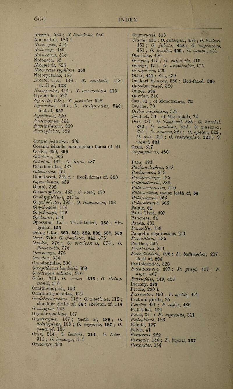 Nodilio, 530 ; N. leporinus, 530 Nomarthra, 186 f. Nothocyon, 415 Notiomys, 480 Notiosorex, 518 Notogaea, 85 Notopteris, 526 Notaryctes typhlops, 159 Notoryctidae, 158 Nototherium, 148 ; N. mitchelli, 148 ; skull of, 148 Nyctereutes, 414 ; N. procyonides, 415 Nycteridae, 527 Nycteris, 528 ; N. javanica, 528 Nycticebus, 545 ; N. tardigradus, 546 ; foot of, 537 Nycticejus, 530 Nydinomus, 531 Nyctipithecus, 560 Nyctopliilus, 529 Ocapia johnstoni, 305 Oceanic islands, mammalian fauna of, 81 Ocelot, 398, 399 Ochotona, 505 Octodon, 487 ; 0. degus, 487 Octodontidae, 487 Odobaenus, 451 Odontoceti, 362 f. ; fossil forms of, 383 Ogmorhinus, 453 Okapi, 305 Ommatophoca, 453 ; 0. rossi, 453 Onohippidium, 247 n. Onychodectes, 193 ; 0. tissonensis, 193 Onychogcile, 134 Onychomys, 479 Opolemur, 544 Opossum, 155 ; Thick-tailed, 156 ; Vir¬ ginian, 155 Orang Utan, 580, 581, 582, 583, 587, 589 Orca, 375 ; 0. gladiator, 341, 375 Orcella, 376 ; 0. brevirostris, 376 ; 0. Jluminalis, 376 Oreinomys, 475 Oreodon, 330 Oreodontidae, 330 Oreopithecus bambolii, 569 Oreotragus saltator, 310 Orias, 316 ; 0. canna, 316 ; 0. living - stonii, 316 Ornithodelphia, 106 Ornithorhynchidae, 112 Ornithorhynchus, 112 ; 0. anatinus, 112 ; shoulder girdle of, 34 ; skeleton of, 114 Orohippus, 248 Orycteropodidae, 187 Orycteropus, 187 ; teeth of, 188 ; 0. aethiopicus, 188 ; 0. capensis, 187 ; 0. gaudryi, 188 Oryx, 314 ; 0. beatrix, 314 ; 0. beisa, 315 ; 0. leucoryx, 314 Oryzomys, 480 Oryzoryctes, 513 Otaria, 451 ; 0. gillespiei, 451 ; 0. hookeri, 451 ; 0. jubata, 448 ; 0. nigrescens, 451 ; 0. pusilla, 450 ; 0. ursina, 451 Otariidae, 450 Otocyon, 415 ; 0. megalotis, 415 Otomys, 475 ; 0. unisulcatus, 475 Otonycteris, 529 Otter, 441 ; Sea, 439 Ouakari Monkey, 560 ; Red-faced, 560 Oulodon grayi, 380 Ounce, 396 Ourebia, 310 Ova, 71 ; of Monotremes, 72 Ovaries, 70 Ovibos moscliatus, 327 Oviduct, 73 ; of Marsupials, 74 Ovis, 321 ; 0. blanfordi, 323 ; 0. burrhel, 322 ; 0. montana, 322 ; 0. musimon, 324 ; 0. nahura, 324 ; 0. ophion, 322 ; 0. poli, 321 ; 0. tragelaphus, 323 ; 0. vignei, 321 Oxen, 317 Oxymycterus, 480 Paca, 493 Pachynolophus, 248 Pachyrucos, 213 Pachyuromys, 475 Palaeochoerus, 280 Palaeoerinaceus, 510 Palaeonictis, molar teeth of, 56 Palaeosyops, 266 Palaeotragus, 306 Palate, 61 Palm Civet, 407 Pancreas, 64 Panda, 431 Pangolin, 188 Pangolin gigantesque, 211 Panochtlms, 185 Panther, 395 Pantholops, 311 Pantolambda, 206 ; P. bathmodon, 207 ; skull of, 206 Pantolestidae, 328 Paradoxurus, 407; P. grayi, 407 ; P. niger, 407 Patriofelis, 449, 456 Peccary, 278 Pecora, 290 f. Pectinator, 490 ; P. spekii, 491 Pectoral girdle, 35 Pedetes, 486 ; P. caffer, 486 Pedetidae, 486 Pelea, 311 ; P. capreolus, 31.1 Peltephilus, 186 Peludo, 177 Pelvis, 41 Peraceras, 262 Peragale, 156 ; P. lagotis, 157 Perameles, 158
