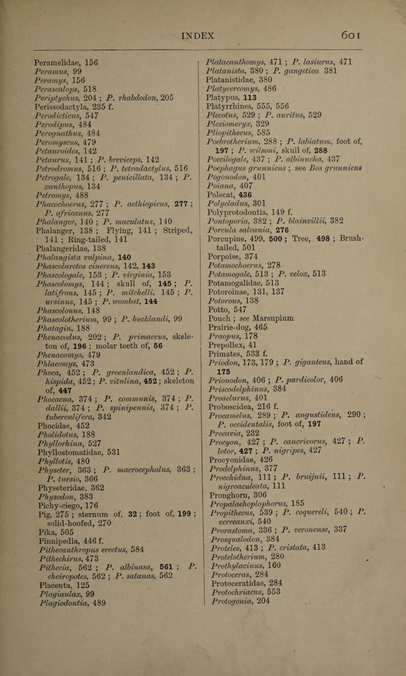 Perameliclae, 156 Peramus, 99 Peramys, 156 Perascalops, 518 Periptychus, 204 ; P. rhabdodon, 205 Perissodactyla, 235 f. Perodicticus, 547 Perodipus, 484 Perognathus, 484 Peromyscus, 479 Petauroides, 142 Petaurus, 141 ; P. breviceps, 142 Petrodromus, 516 ; P. tetradactylus, 516 Petrogale, 134 ; P. penicillata, 134 ; P. xanthopus, 134 Petromys, 488 Phacochoerus, 277 ; P. aethiopicus, 277 ; P. africanus, 277 Phaltinger, 340 ; P. maculatus, 140 Phalanger, 138 ; Flying, 141 ; Striped, 141 ; Ring-tailed, 141 Phalangeridae, 138 Phalangista vulpina, 140 Phascolarctos cinereus, 142, 143 Phascologale, 153 ; P. Virginia, 153 Phascolomys, 144; skull of, 145; P. latifro7is, 145 ; P. mitchelli, 145 ; P. ursinus, 145 ; P. wombat, 144 Phascolonus, 148 Phascolotherium, 99 ; P. bucklandi, 99 Phatagin, 188 Phenacodus, 202 ; P. ' primaevus, skele¬ ton of, 196 ; molar teeth of, 56 Phenacomys, 479 Phlaeomys, 473 Phoca, 452 ; P. groenlandica, 452; P. hispida, 452 ; P. vitulina, 452 ; skeleton of, 447 Phocaena, 374; P. communis, 374; P. dallii, 374 ; P. spinipennis, 374 ; P. tuberculifera, 342 Phocidae, 452 Pholidotus, 188 Phyllorhina, 527 Phyllostomatidae, 531 Phyllotis, 480 Physeter, 363 ; P. macrocephalus, 363 ; P. tursio, 366 Physeteridae, 362 Physodon, 383 Pichy-ciego, 176 Pig, 275 ; sternum of, 32 ; foot of, 199 ; solid-hoofed, 270 Pika, 505 Pinnipedia, 446 f. Pithecanthropus erectus, 584 Pithechirus, 47 3 Pithecia, 562 ; P. albinasa, 561 ; P. cheiropotes, 562 ; P. satancis, 562 Placenta, 125 Plagiaulax, 99 Plagiodontia, 489 Platacanthomys, 471 ; P. lasiurus, 471 Platanista, 380 ; P. gangetica 381 Platanistidae, 380 Platycercomys, 486 Platypus, 113 Platyrrhines, 555, 556 Plecotus, 529 ; P. auritus, 529 Plesiomeryx, 329 Pliopithecus, 585 Poebrotherium, 288 ; P. labiatum, foot of, 197 ; P. wilsoni, skull of, 288 Poecilogale, 437 ; P. albinucha, 437 Poephagus grunniens ; see Bos grunniens Pogonodon, 401 Poiana, 407 Polecat, 436 Polycladus, 301 Polyprotodontia, 149 f. Pontoporia, 382 ; P. blainvillii, 382 Porcula salvania, 276 Porcupine, 499, 500 ; Tree, 498 ; Brush¬ tailed, 501 Porpoise, 374 Potamochoerus, 278 Potamogale, 513 ; P. velox, 513 Potamogalidae, 513 Potoroinae, 131, 137 Potorous, 138 Potto, 547 Pouch ; see Marsupium Prairie-dog, 465 Praopus, 178 Prepollex, 41 Primates, 533 f. Priodon, 173, 179 ; P. giganteus, hand of 175 Prionodon, 406 ; P. pardicolor, 406 Priscodelphinus, 384 Proaelurus, 401 Proboscidea, 216 f. Procamelus, 289 ; P. angustidens, 290 ; P. occidental^, foot of, 197 Procavia, 232 Procyon, 427 ; P. cancrivorus, 427 ; P. lotor, 427 ; P. nigripes, 427 Procyonidae, 426 Prodelphinus, 377 Proechidna, 111; P. bruijnii, 111; P. nigroaculeata, 111 Pronghorn, 306 Propalaehoplophorus, 185 Propithecus, 539 ; P. coquereli, 540 ; P. verreauxi, 540 Prorastoma, 336 ; P. veronense, 337 Prosqualodon, 384 Proteles, 413 ; P. cristata, 413 Protelotherium, 280 Prothylacinus, 160 Protoceras, 284 Protoceratidae, 284 Protochriacus, 553 Protogonia, 204