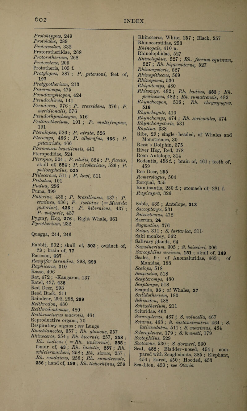Protohippus, 249 Protolabis, 289 Protoreodon, 332 Protorotheriidae, 268 Protorotherium, 268 Protoselene, 205 Prototheria, 105 f. Protylopus, 287 ; P. petersoni, feet of, 197 Protypotherium, 213 Psammomys, 475 Pseudamphicyon, 424 Pseudochirus, 141 Pseudorca, 376 ; P. crassidens, 376 ; P. meridionalis, 376 Pseudorhynchocyon, 516 Psittacotherium, 191 ; P. multifraqum, 191 Ptercdopex, 526 ; P. atrata, 526 Pteromys, 466; P. alborufus, 466 ; P. petaurista, 466 Pteroneura brasiliensis, 441 Pteropodidae, 524 Pteropus, 524 ; P. edwZis, 524 ; P. fuscus, skull of, 524 ; P. nicobaricus, 526 ; P. poliocephalus, 525 Ptilocercus, 511 ; P. Pm, 511 Ptilodus, 101 Pudua, 296 Puma, 399 Putorius, 435 ; P. brasiliensis, 437 ; P. errninea, 436 ; P. foetidus (= Mustela putorius), 436 ; P. hibernicus, 437 ; P. vulgaris, 437 Pygmy, Hog, 276 ; Right Whale, 361 Pyr other ium, 232 Quagga, 244, 246 Rabbit, 502 ; skull of, 503 ; oviduct of, 73 ; brain of, 77 Raccoon, 427 Rangifer tarandus, 298, 299 Raphiceros, 310 Rasse, 406 Rat, 472 ; -Kangaroo, 137 Ratel, 437, 438 Red Deer, 293 Reed Buck, 311 Reindeer, 292, 298, 299 Reithrodon, 480 Reithrodontomys, 480 Reithrosciurus macrotis, 464 Reproductive organs, 70 Respiratory organs ; see Lungs Rhachianectes, 357 ; Rh. glaucus, 357 Rhinoceros, 254 ; Rh. bicornis, 257, 258 ; Rh. indicus ( = Rh. unicornis), 255 : femur of, 43 ; Rh. lasiotis, 257 ; Rh. schleiermacheri, 258 ; Rh. simus, 257 ; Rh. sondaicus, 256 ; Rh. sumatrensis, 256 ; hand of, 199 ; Rh. tichorhinus, 259 Rhinoceros, White, 257 ; Black, 257 Rhinocerotidae, 253 Rhinogale, 410 n. Rhinolophidae, 527 Rhinoloplius, 527 ; Rh. ferrum equinum> 527 ; Rh. hipposiderus, 527 Rhinonycteris, 527 Rhinopithecus, 569 Rhinopoma, 530 Rhipidomys, 480 Rhizomys, 482 ; Rh. badius, 483 ; Rh. pruinosus, 482 ; Rh. sumatrensis, 482 Rhynchocyon, 516; Rh. chrysopygus, 516 PJiynchogale, 410 Rhynchomys, 474 ; Rh. soricioides, 474 Rhynchonycteris, 531 Rliytina, 338 Ribs, 29 ; single - headed, of Whales and Monotremes, 30 Risso’s Dolphin, 375 River Hog, Red, 278 Roan Antelope, 314 Rodentia, 458 f. ; brain of, 461 ; teeth of, 459 Roe Deer, 295 Romerolagus, 504 Rorqual, 355 Ruminantia, 280 f.; stomach of, 281 f. Rupicapra, 326 Sable, 435 ; Antelope, 313 Saccopteryx, 531 Saccostomus, 472 Sacrum, 24 Sagmatias, 376 Saiga, 311 ; S. tartarica, 311- Saki monkey, 562 Salivary glands, 64 Samotherium, 305 ; S. boissieri, 306 Sarcophilus ursinus, 151 ; skull of, 149 Scales, 9 ; of Anomaluridae, 463 ; of Manidae, 188 Scalops, 518 Scapasius, 518 Scapteromys, 480 Scaptonyx, 518 Scapula, 36 ; of Whales, 37 Scelidotherium, 180 Schizodon, 488 Schizotherium, 211 Sciuridae, 463 Sciuropterus, 467 ; S. volucella, 467 Sciurus, 463 ; S. castaneiventris, 464 ; S. laticaudatus, 511 ; S. maximus, 464 Sderopleura, 179 ; S. bruneti, 179 Scotophilus, 529 Scotozous, 530 ; S. dormeri, 530 Seal, 452 ; Bladder-nosed, 454 ; com¬ pared with Zeuglodonts, 385 ; Elephant, 454 ; Eared, 450 ; Hooded, 453 Sea-Lion, 450 ; see Otaria