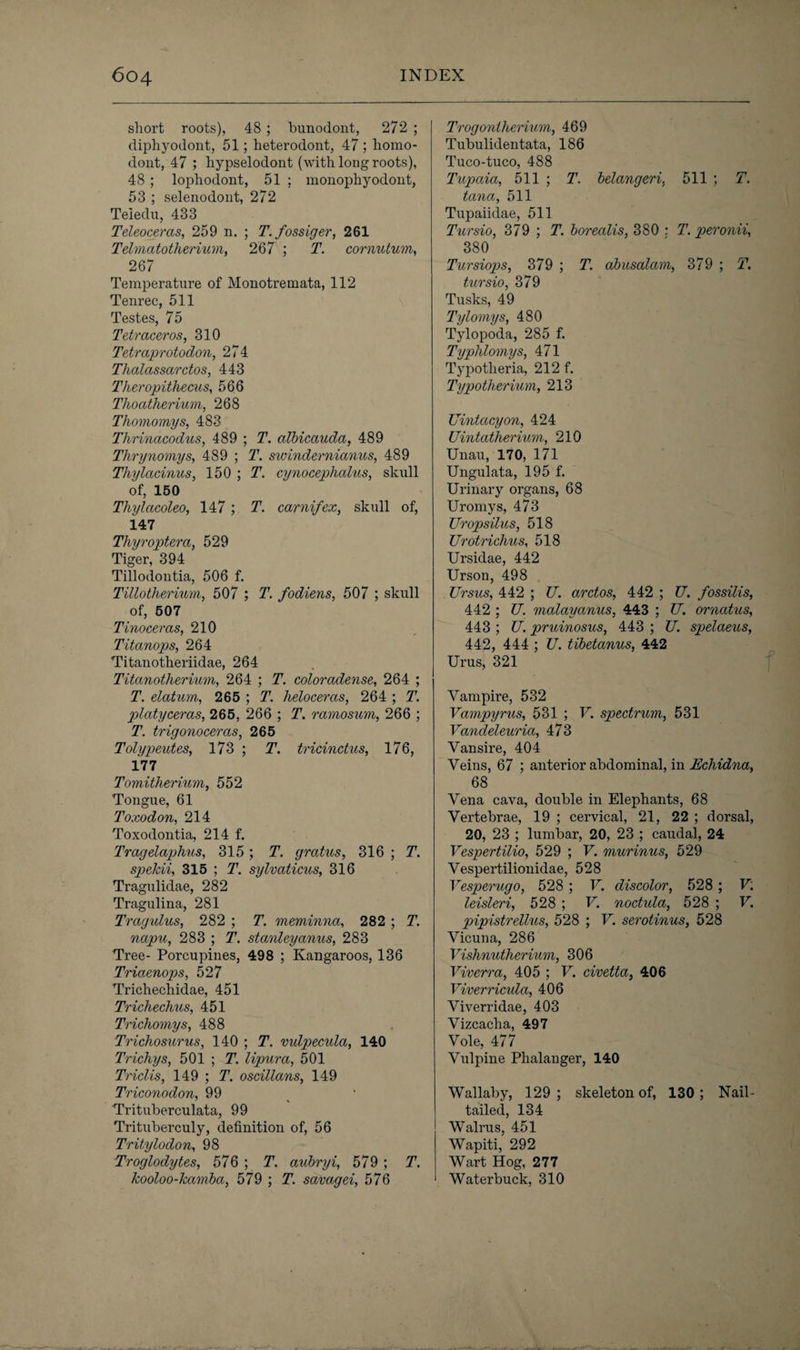 short roots), 48 ; bunodont, 272 ; diphyodont, 51; heterodont, 47 ; homo- dont, 47 ; hypselodont (with long roots), 48 ; lophodont, 51 ; monophyodont, 53 ; selenodont, 272 Teledu, 433 Teleoceras, 259 n. ; T.fossiger, 261 Telmatotherium, 267 ; T. cornutum, 267 Temperature of Monotremata, 112 Tenrec, 511 Testes, 75 Tetraceros, 310 Tetraprotodon, 274 Tlialassarctos, 443 Theropitliecus, 566 Tlioatherium, 268 Tliomomys, 483 Thrinacodus, 489 ; T. albicauda, 489 Thrynomys, 489 ; T. swindernianus, 489 Thylacinus, 150 ; T. cynocephalus, skull of, 150 Tliylacoleo, 147; T. carnifex, skull of, i47 Tliyroptera, 529 Tiger, 394 Tillodontia, 506 f. Tillotherium, 507 ; T. fodiens, 507 ; skull of, 507 Tinoceras, 210 Titanops, 264 Titanotheriidae, 264 Titanotherium, 264 ; T. coloradense, 264 ; T. datum, 265 ; T. heloceras, 264 ; T. p>latyceras, 265, 266 ; T. raviosum, 266 ; T. trigonoceras, 265 Tolypeutes, 173 ; T. tricinctus, 176, 177 Tomitherium, 552 Tongue, 61 Toxodon, 214 Toxodontia, 214 f. Tragelaphus, 315 ; T. gratus, 316 ; T. spekii, 315 ; T. sylvaticus, 316 Tragulidae, 282 Tragulina, 281 Trag ulus, 282 ; T. meminna, 282 ; T. napu, 283 ; T. stanleyanus, 283 Tree- Porcupines, 498 ; Kangaroos, 136 Triaenops, 527 Trichechidae, 451 Trichechus, 451 Tnchomys, 488 Trichosurus, 140 ; T. vulpecula, 140 Trichys, 501 ; T. lipura, 501 Tridis, 149 ; T. oscillans, 149 Triconodon, 99 Trituberculata, 99 Trituberculy, definition of, 56 Tritylodon, 98 Troglodytes, 576 ; T. aubryi, 579; T. kooloo-kamba, 579 ; T. savagei, 576 Trogontherium, 469 Tubulidentata, 186 Tuco-tuco, 488 Tupaia, 511 ; T. belangeri, 511 ; T, tana, 511 Tupaiidae, 511 Tursio, 379 ; T. borealis, 380 : T.peronii, 380 Turslops, 379 ; T. abusalam, 379 ; T. tursio, 379 Tusks, 49 Tylomys, 480 Tylopoda, 285 f. Typhlomys, 471 Typotheria, 212 f. Typotherium, 213 Uintacyon, 424 Uintatherium, 210 Unau, 170, 171 Ungulata, 195 f. Urinary organs, 68 Uromys, 473 Uropsilus, 518 Urotrichus, 518 Ursidae, 442 Urson, 498 Ursus, 442 ; U. arctos, 442 ; U. fossilis, 442 : U. malayanus. 443 : U. ornatus, 443 ; U. pruinosus, 443 ; U. spelaeus, 442, 444 ; U. tibetanus, 442 Urus, 321 Vampire, 532 Vampyrus, 531 ; V. spectrum, 531 Vandeleuria, 473 Vansire, 404 Veins, 67 ; anterior abdominal, in Echidna, 68 Vena cava, double in Elephants, 68 Vertebrae, 19 ; cervical, 21, 22 ; dorsal, 20, 23 ; lumbar, 20, 23 ; caudal, 24 Vespertilio, 529 ; V. murinus, 529 Vespertilionidae, 528 Vesperugo, 528 ; V. discolor, 528 ; V: leisleri, 528 ; V. noctula, 528 ; V. pipistrellus, 528 ; V. serotinus, 528 Vicuna, 286 Vishnutherium, 306 Viverra, 405 ; V. civetta, 406 Yiverricula, 406 Viverridae, 403 Vizcacha, 497 Vole, 477 Vulpine Plialanger, 140 Wallaby, 129 ; skeleton of, 130 ; Nail¬ tailed, 134 Walrus, 451 Wapiti, 292 Wart Hog, 277 Waterbuck, 310