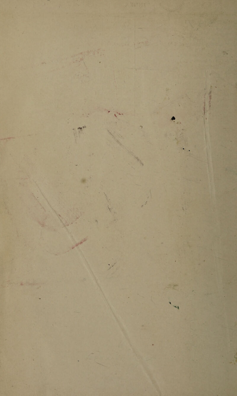 / s. * > • V «* •. \ -) j v *# . l -\ '.v