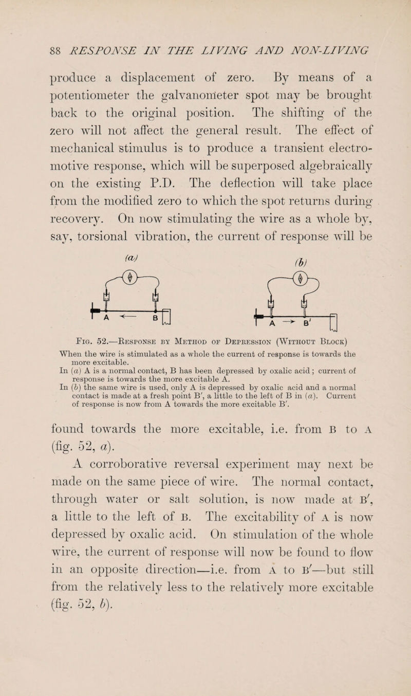 produce a displacement of zero. By means of a potentiometer the galvanometer spot may be brought back to the original position. The shifting of the zero will not affect the general result. The effect of o mechanical stimulus is to produce a transient electro¬ motive response, which will be superposed algebraically on the existing P.D. The deflection will take place from the modified zero to which the spot returns during recovery. On now stimulating the wire as a whole by, say, torsional vibration, the current of response will be Fig. 52.—Response by Method of Depression (Without Block) When the wire is stimulated as a whole the current of response is towards the more excitable. In (a) A is a normal contact, B has been depressed by oxalic acid ; current of response is towards the more excitable A. In (5) the same wire is used, only A is depressed by oxalic acid and a normal contact is made at a fresh point B', a little to the left of B in (a). Current of response is now from A towards the more excitable B'. found towards the more excitable, i.e. from B to A (fig. 52, a). A corroborative reversal experiment may next be made on the same piece of wire. The normal contact, through water or salt solution, is now made at b', a little to the left of B. The excitability of A is now depressed by oxalic acid. On stimulation of the whole wire, the current of response will now be found to flow in an opposite direction—i.e. from A to b'—but still from the relatively less to the relatively more excitable (fig. 52, b).