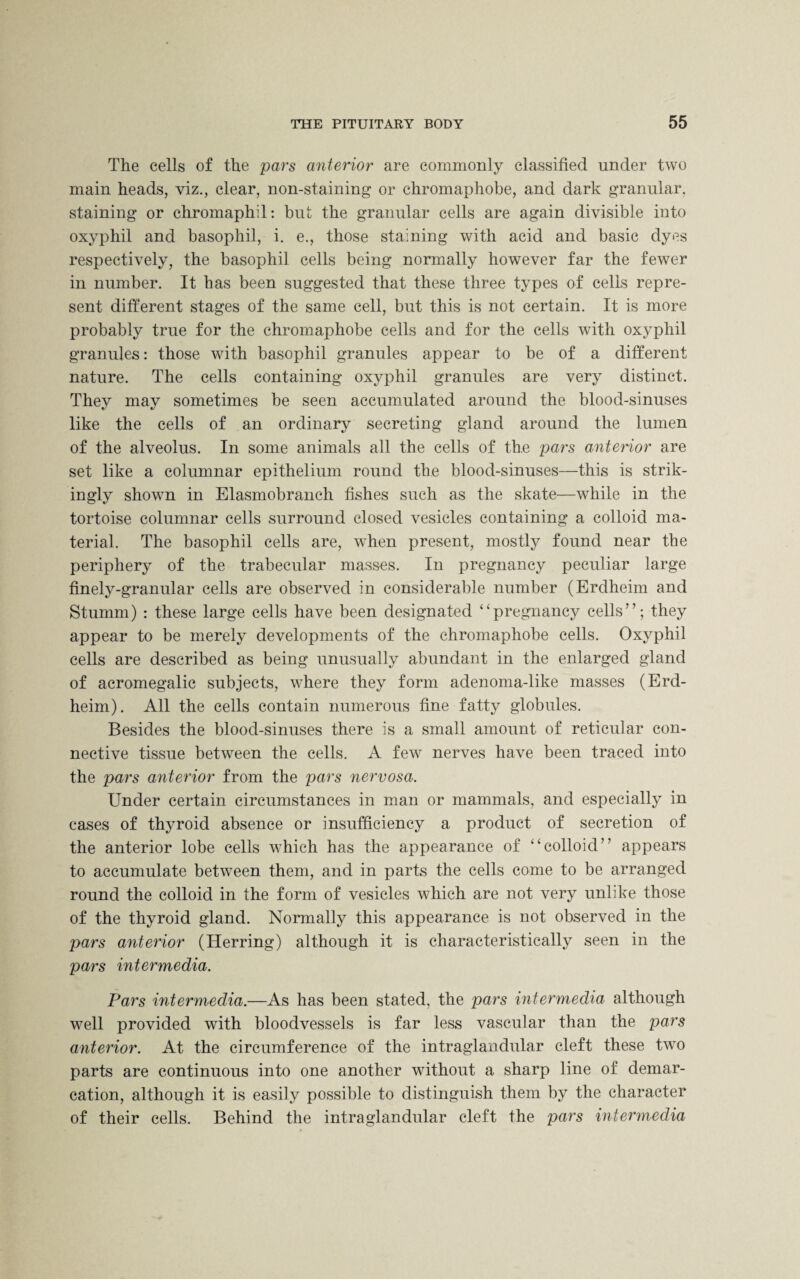 The cells of the pars anterior are commonly classified under two main heads, viz., clear, non-staining or chromaphobe, and dark granular, staining or chromaphil: but the granular cells are again divisible into oxyphil and basophil, i. e., those staining with acid and basic dyes respectively, the basophil cells being normally however far the fewer in number. It has been suggested that these three types of cells repre¬ sent different stages of the same cell, but this is not certain. It is more probably true for the chromaphobe cells and for the cells with oxyphil granules: those with basophil granules appear to be of a different nature. The cells containing oxyphil granules are very distinct. They may sometimes be seen accumulated around the blood-sinuses like the cells of an ordinary secreting gland around the lumen of the alveolus. In some animals all the cells of the pars antei'ior are set like a columnar epithelium round the blood-sinuses—this is strik¬ ingly shown in Elasmobranch fishes such as the skate—while in the tortoise columnar cells surround closed vesicles containing a colloid ma¬ terial. The basophil cells are, when present, mostly found near the periphery of the trabecular masses. In pregnancy peculiar large finely-granular cells are observed in considerable number (Erdheim and Stumm) : these large cells have been designated “pregnancy cells”; they appear to be merely developments of the chromaphobe cells. Oxyphil cells are described as being unusually abundant in the enlarged gland of acromegalic subjects, where they form adenoma-like masses (Erd¬ heim) . All the cells contain numerous fine fatty globules. Besides the blood-sinuses there is a small amount of reticular con¬ nective tissue between the cells. A few nerves have been traced into the pars anterior from the pars nervosa. Under certain circumstances in man or mammals, and especially in cases of thyroid absence or insufficiency a product of secretion of the anterior lobe cells which has the appearance of “colloid” appears to accumulate between them, and in parts the cells come to be arranged round the colloid in the form of vesicles which are not very unlike those of the thyroid gland. Normally this appearance is not observed in the pars anterior (Herring) although it is characteristically seen in the pars intermedia. Pars intermedia.—As has been stated, the pars intermedia although well provided with bloodvessels is far less vascular than the pars anterior. At the circumference of the intraglandular cleft these two parts are continuous into one another without a sharp line of demar¬ cation, although it is easily possible to distinguish them by the character of their cells. Behind the intraglandular cleft the pars intermedia
