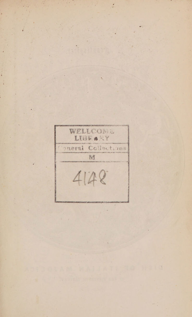 - LI se a a OF: *” » Bes > Pee oe