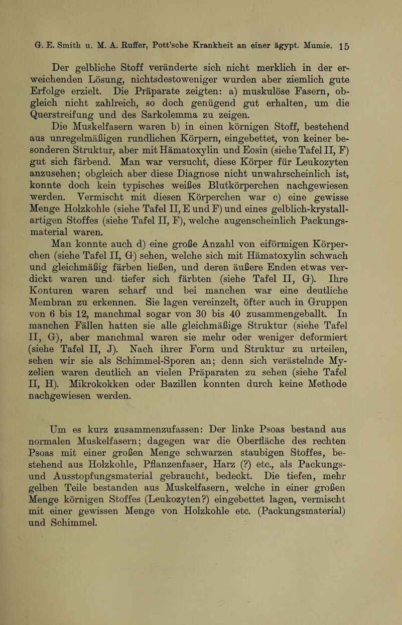 Der gelbliche Stoff veränderte sich nicht merklich in der er¬ weichenden Lösung, nichtsdestoweniger wurden aber ziemlich gute Erfolge erzielt. Die Präparate zeigten: a) muskulöse Fasern, ob¬ gleich nicht zahlreich, so doch genügend gut erhalten, um die Querstreifung und des Sarkolemma zu zeigen. Die Muskelfasern waren b) in einen körnigen Stoff, bestehend aus unregelmäßigen rundlichen Körpern, eingebettet, von keiner be¬ sonderen Struktur, aber mit Hämatoxylin und Eosin (siehe Tafel II, P) gut sich färbend. Man war versucht, diese Körper für Leukozyten anzusehen; obgleich aber diese Diagnose nicht unwahrscheinlich ist, konnte doch kein typisches weißes Blutkörperchen nachgewiesen werden. Vermischt mit diesen Körperchen war c) eine gewisse Menge Holzkohle (siehe Tafel II, E und F) und eines gelblich-krystall- artigen Stoffes (siehe Tafel II, F), welche augenscheinlich Packungs¬ material waren. Man konnte auch d) eine große Anzahl von eiförmigen Körper¬ chen (siehe Tafel II, Gr) sehen, welche sich mit Hämatoxylin schwach und gleichmäßig färben ließen, und deren äußere Enden etwas ver¬ dickt waren und' tiefer sich färbten (siehe Tafel II, Gr). Ihre Konturen waren scharf und bei manchen war eine deutliche Membran zu erkennen. Sie lagen vereinzelt, öfter auch in Gruppen von 6 bis 12, manchmal sogar von 30 bis 40 zusammengeballt. In manchen Fällen hatten sie alle gleichmäßige Struktur (siehe Tafel II, Gr), aber manchmal waren sie mehr oder weniger deformiert (siehe Tafel II, J). Nach ihrer Form und Struktur zu urteilen, sehen wir sie als Schimmel-Sporen an; denn sich verästelnde My¬ zelien waren deutlich an vielen Präparaten zu sehen (siehe Tafel II, H). Mikrokokken oder Bazillen konnten durch keine Methode nachgewiesen werden. Um es kurz zusammenzufassen: Der linke Psoas bestand aus normalen Muskelfasern; dagegen war die Oberfläche des rechten Psoas mit einer großen Menge schwarzen staubigen Stoffes, be¬ stehend aus Holzkohle, Pflanzenfaser, Harz (?) etc., als Packungs¬ und Ausstopfungsmaterial gebraucht, bedeckt. Die tiefen, mehr gelben Teile bestanden aus Muskelfasern, welche in einer großen Menge körnigen Stoffes (Leukozyten?) eingebettet lagen, vermischt mit einer gewissen Menge von Holzkohle etc. (Packungsmaterial) und Schimmel.