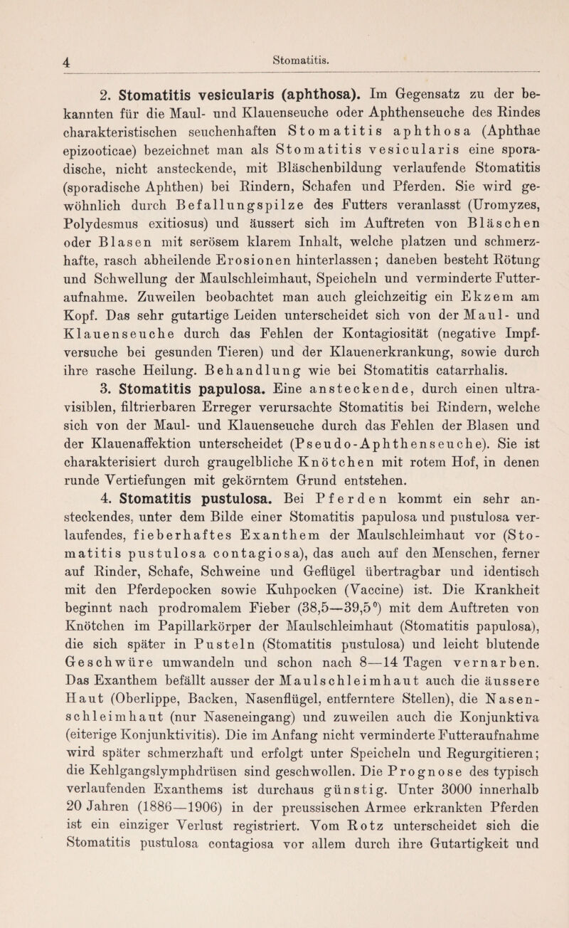 2. Stomatitis vesicularis (aphthosa). Im Gegensatz zu der be¬ kannten für die Maul- und Klauenseuche oder Aphthenseuche des Rindes charakteristischen seuchenhaften Stomatitis aphthosa (Aphthae epizooticae) bezeichnet man als Stomatitis vesicularis eine spora¬ dische, nicht ansteckende, mit Bläschenbildung verlaufende Stomatitis (sporadische Aphthen) bei Rindern, Schafen und Pferden. Sie wird ge¬ wöhnlich durch Befallungspilze des Putters veranlasst (Uromyzes, Polydesmus exitiosus) und äussert sich im Auftreten von Bläschen oder Blasen mit serösem klarem Inhalt, welche platzen und schmerz¬ hafte, rasch abheilende Erosionen hinterlassen; daneben besteht Rötung und Schwellung der Maulschleimhaut, Speicheln und verminderte Futter¬ aufnahme. Zuweilen beobachtet man auch gleichzeitig ein Ekzem am Kopf. Das sehr gutartige Leiden unterscheidet sich von der Maul- und Klauenseuche durch das Fehlen der Kontagiosität (negative Impf¬ versuche bei gesunden Tieren) und der Klauenerkrankung, sowie durch ihre rasche Heilung. Behandlung wie bei Stomatitis catarrhalis. 3. Stomatitis papulosa. Eine ansteckende, durch einen ultra- visiblen, filtrierbaren Erreger verursachte Stomatitis bei Rindern, welche sich von der Maul- und Klauenseuche durch das Fehlen der Blasen und der Klauen affektion unterscheidet (Pseudo-Aphthenseuche). Sie ist charakterisiert durch graugelbliche Knötchen mit rotem Hof, in denen runde Vertiefungen mit gekörntem Grund entstehen. 4. Stomatitis pustulosa. Bei Pferden kommt ein sehr an¬ steckendes, unter dem Bilde einer Stomatitis papulosa und pustulosa ver¬ laufendes, fieberhaftes Exanthem der Maulschleimhaut vor (Sto¬ matitis pustulosa contagiosa), das auch auf den Menschen, ferner auf Rinder, Schafe, Schweine und Geflügel übertragbar und identisch mit den Pferdepocken sowie Kuhpocken (Vaccine) ist. Die Krankheit beginnt nach prodromalem Fieber (38,5—39,5°) mit dem Auftreten von Knötchen im Papillarkörper der Maulschleimhaut (Stomatitis papulosa), die sich später in Pusteln (Stomatitis pustulosa) und leicht blutende Geschwüre umwandeln und schon nach 8—14 Tagen vernarben. Das Exanthem befällt ausser der Maulschleimhaut auch die äussere Haut (Oberlippe, Backen, Nasenflügel, entferntere Stellen), die Nasen¬ schleimhaut (nur Naseneingang) und zuweilen auch die Konjunktiva (eiterige Konjunktivitis). Die im Anfang nicht verminderte Futteraufnahme wird später schmerzhaft und erfolgt unter Speicheln und Regurgitieren; die Kehlgangslymphdrüsen sind geschwollen. Die Prognose des typisch verlaufenden Exanthems ist durchaus günstig. Unter 3000 innerhalb 20 Jahren (1886—1906) in der preussischen Armee erkrankten Pferden ist ein einziger Verlust registriert. Vom Rotz unterscheidet sich die Stomatitis pustulosa contagiosa vor allem durch ihre Gutartigkeit und