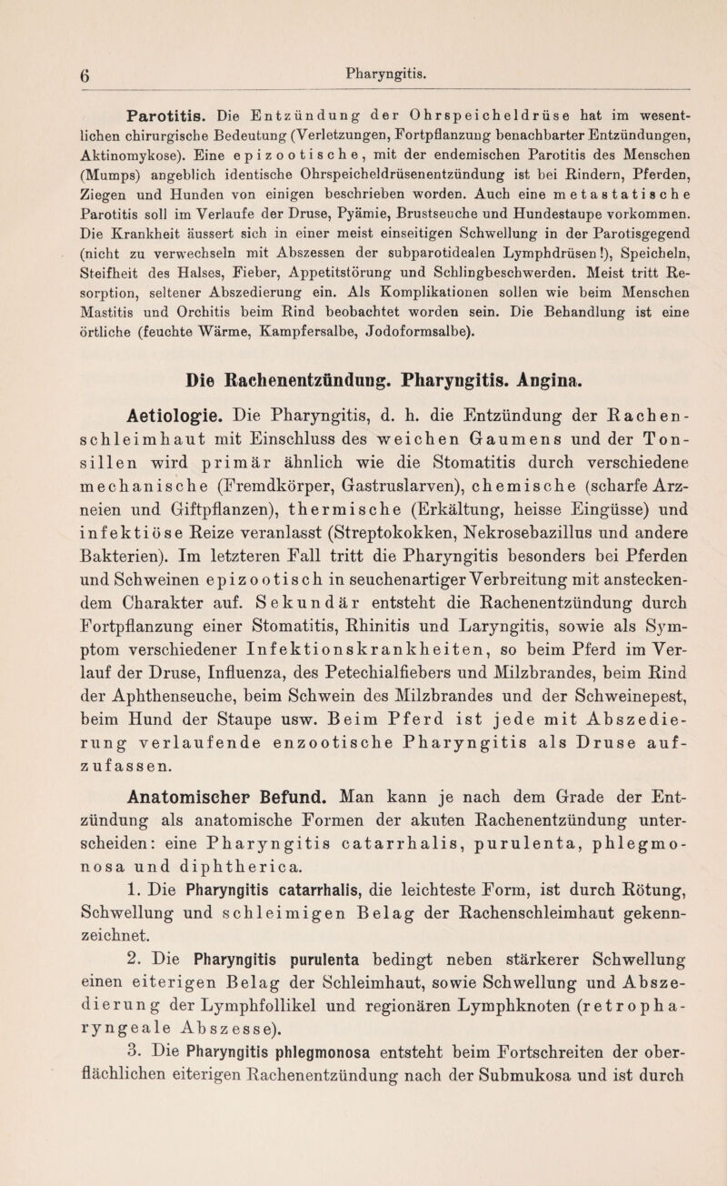 Parotitis. Die Entzündung der Ohrspeicheldrüse hat im wesent¬ lichen chirurgische Bedeutung (Verletzungen, Fortpflanzung benachbarter Entzündungen, Aktinomykose). Eine epizootische, mit der endemischen Parotitis des Menschen (Mumps) angeblich identische Ohrspeicheldrüsenentzündung ist bei Bindern, Pferden, Ziegen und Hunden von einigen beschrieben worden. Auch eine metastatische Parotitis soll im Verlaufe der Druse, Pyämie, Brustseuche und Hundestaupe Vorkommen. Die Krankheit äussert sich in einer meist einseitigen Schwellung in der Parotisgegend (nicht zu verwechseln mit Abszessen der subparotidealen Lymphdrüsen!), Speicheln, Steifheit des Halses, Fieber, Appetitstörung und Schlingbeschwerden. Meist tritt Re¬ sorption, seltener Abszedierung ein. Als Komplikationen sollen wie beim Menschen Mastitis und Orchitis beim Rind beobachtet worden sein. Die Behandlung ist eine örtliche (feuchte Wärme, Kampfersalbe, Jodoformsalbe). Die Rachenentzündung. Pharyngitis. Angina. Aetiologie. Die Pharyngitis, d. h. die Entzündung der Rachen- schleimhaut mit Einschluss des weichen Gaumens und der Ton¬ sillen wird primär ähnlich wie die Stomatitis durch verschiedene mechanische (Fremdkörper, Gastruslarven), chemische (scharfe Arz¬ neien und Giftpflanzen), thermische (Erkältung, heisse Eingüsse) und infektiöse Reize veranlasst (Streptokokken, Nekrosebazillus und andere Bakterien). Im letzteren Fall tritt die Pharyngitis besonders bei Pferden und Schweinen epizoo tisch in seuchen artiger Verbreitung mit anstecken¬ dem Charakter auf. Sekundär entsteht die Rachenentzündung durch Fortpflanzung einer Stomatitis, Rhinitis und Laryngitis, sowie als Sym¬ ptom verschiedener Infektionskrankheiten, so beim Pferd im Ver¬ lauf der Druse, Influenza, des Petechialfiebers und Milzbrandes, heim Rind der Aphthenseuche, heim Schwein des Milzbrandes und der Schweinepest, beim Hund der Staupe usw. Beim Pferd ist jede mit Abszedie¬ rung verlaufende enzootische Pharyngitis als Druse auf- z uf assen. Anatomischer Befund. Man kann je nach dem Grade der Ent¬ zündung als anatomische Formen der akuten Rachenentzündung unter¬ scheiden: eine Pharyngitis catarrhalis, purulenta, phlegmo¬ nosa und diphtherica. 1. Die Pharyngitis catarrhalis, die leichteste Form, ist durch Rötung, Schwellung und schleimigen Belag der Rachenschleimhaut gekenn¬ zeichnet. 2. Die Pharyngitis purulenta bedingt neben stärkerer Schwellung einen eiterigen Belag der Schleimhaut, sowie Schwellung und Absze- dierung der Lymphfollikel und regionären Lymphknoten (retropha¬ ryngeale Abszesse). 3. Die Pharyngitis phlegmonosa entsteht heim Fortschreiten der ober¬ flächlichen eiterigen Rachenentzündung nach der Suhmukosa und ist durch
