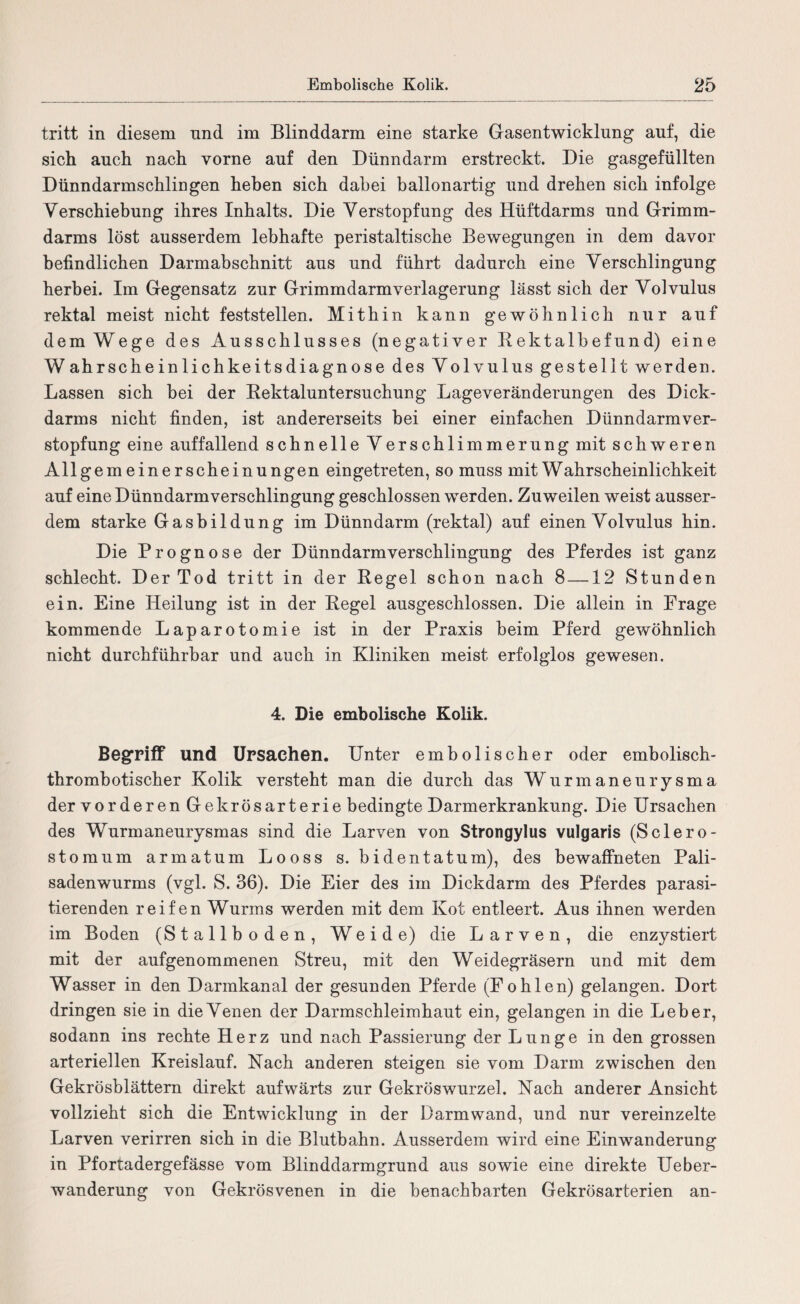 tritt in diesem und im Blinddarm eine starke Gasentwicklung auf, die sich auch nach vorne auf den Dünndarm erstreckt. Die gasgefüllten Dünndarmschlingen heben sich dabei ballonartig und drehen sich infolge Verschiebung ihres Inhalts. Die Verstopfung des Hüftdarms und Grimm¬ darms löst ausserdem lebhafte peristaltische Bewegungen in dem davor befindlichen Darmabschnitt aus und führt dadurch eine Verschlingung herbei. Im Gegensatz zur Grimmdarmverlagerung lässt sich der Volvulus rektal meist nicht feststellen. Mithin kann gewöhnlich nur auf dem Wege des Ausschlusses (negativer Bektalbefund) eine Wahrscheinlichkeitsdiagnose des Volvulus gestellt werden. Lassen sich bei der Rektaluntersuchung Lageveränderungen des Dick¬ darms nicht finden, ist andererseits bei einer einfachen Dünndarmver¬ stopfung eine auffallend schnelle Verschlimmerung mit schweren Allgemein er scheinungen eingetreten, so muss mit Wahrscheinlichkeit auf eine Dünndarmverschlingung geschlossen werden. Zuweilen weist ausser¬ dem starke Gasbildung im Dünndarm (rektal) auf einen Volvulus hin. Die Prognose der Dünndarmverschlingung des Pferdes ist ganz schlecht. Der Tod tritt in der Regel schon nach 8 —12 Stunden ein. Eine Heilung ist in der Regel ausgeschlossen. Die allein in Frage kommende Laparotomie ist in der Praxis beim Pferd gewöhnlich nicht durchführbar und auch in Kliniken meist erfolglos gewesen. 4. Die embolische Kolik. Begriff und Ursachen. Unter embolischer oder embolisch- thrombotischer Kolik versteht man die durch das Wurmaneurysma der vorderen Gekrösarterie bedingte Darmerkrankung. Die Ursachen des Wurmaneurysmas sind die Larven von Strongylus vulgaris (Sclero- stomum armatum Looss s. bidentatum), des bewaffneten Pali¬ sadenwurms (vgl. S. 36). Die Eier des im Dickdarm des Pferdes parasi- tierenden reifen Wurms werden mit dem Kot entleert. Aus ihnen werden im Boden (Stallboden, Weide) die Larven, die enzystiert mit der aufgenommenen Streu, mit den Weidegräsern und mit dem Wasser in den Darmkanal der gesunden Pferde (Fohlen) gelangen. Dort dringen sie in die Venen der Darmschleimhaut ein, gelangen in die Leber, sodann ins rechte Herz und nach Passierung der Lunge in den grossen arteriellen Kreislauf. Nach anderen steigen sie vom Darm zwischen den Gekrösblättern direkt aufwärts zur Gekröswurzel. Nach anderer Ansicht vollzieht sich die Entwicklung in der Darmwand, und nur vereinzelte Larven verirren sich in die Blutbahn. Ausserdem wird eine Einwanderung in Pfortadergefässe vom Blinddarmgrund aus sowie eine direkte Ueber- wanderung von Gekrösvenen in die benachbarten Gekrösarterien an-