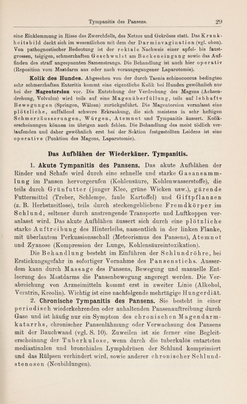 eine Einklemmung in Risse des Zwerchfells, des Netzes und Gekröses statt. Das Krank¬ heit s b i 1 d deckt sich im wesentlichen mit dem der Darminvagination (vgl. oben). Von pathognostischer Bedeutung ist der rektale Nachweis einer apfel- bis faust¬ grossen, teigigen, schmerzhaften Geschwulst am Beckeneingang sowie das Auf¬ finden des straff angespannten Samenstrangs. Die Behandlung ist auch hier operativ (Reposition vom Mastdarm aus oder nach vorausgegangener Laparotomie). Kolik des Hundes. Abgesehen von der durch Taenia echinococcus bedingten sehr schmerzhaften Enteritis kommt eine eigentliche Kolik bei Hunden gewöhnlich nur bei der Magentorsion vor. Die Entstehung der Verdrehung des Magens (Achsen¬ drehung, Volvulus) wird teils auf eine Magenüberfüllung, teils auf lebhafte Bewegungen (Springen, Wälzen) zurückgeführt. Die Magentorsion veranlasst eine plötzliche, auffallend schwere Erkrankung, die sich meistens in sehr heftigen Schmerzäusserungen, Würgen, Atemnot und Tympanitis äussert. Kolik¬ erscheinungen können im übrigen auch fehlen. Die Behandlung des meist tödlich ver¬ laufenden und daher gewöhnlich erst bei der Sektion festgestellten Leidens ist eine operative (Punktion des Magens, Laparotomie). Das Aufblähen der Wiederkäuer. Tympanitis. 1. Akute Tympanitis des Pansens. Das akute Aufblähen der Rinder und Schafe wird durch eine schnelle und starke Gas ans am Ba¬ lun g im Pansen hervorgerufen (Kohlensäure, Kohlenwasserstoffe), die teils durch Grünfutter (junger Klee, grüne Wicken usw.), gärende Futtermittel (Treber, Schlempe, faule Kartoffel) und Giftpflanzen (z. B. Herbstzeitlose), teils durch steckengebliebene Fremdkörper im Schlund, seltener durch anstrengende Transporte und Luftkoppen ver¬ anlasst wird. Das akute Aufblähen äussert sich durch eine plötzliche starke Auftreibung des Hinterleibs, namentlich in der linken Flanke, mit überlautem Perkussionsschall (Meteorismus des Pansens), Atemnot und Zyanose (Kompression der Lunge, Kohlensäureintoxikation). Die Behandlung besteht im Einführen der Schlundröhre, bei Erstickungsgefahr in sofortiger Vornahme des Pansenstichs. Ausser¬ dem kann durch Massage des Pansens, Bewegung und manuelle Ent¬ leerung des Mastdarms die Pansenbewegung angeregt werden. Die Ver¬ abreichung von Arzneimitteln kommt erst in zweiter Linie (Alkohol, Veratrin, Kreolin). Wichtig ist eine nachfolgende mehrtägige Hungerdiät. 2. Chronische Tympanitis des Pansens. Sie besteht in einer periodisch wiederkehrenden oder anhaltenden Pansenauftreibung durch Gase und ist häufig nur ein Symptom des chronischen Magendarm- katarrhs, chronischer Pansenlähmung oder Verwachsung des Pansens mit der Bauchwand (vgl. S. 10). Zuweilen ist sie ferner eine Begleit¬ erscheinung der Tuberkulose, wenn durch die tuberkulös entarteten mediastinalen und bronchialen Lymphdrüsen der Schlund komprimiert und das Rülpsen verhindert wird, sowie anderer chronischer Schlund¬ stenosen (Neubildungen).