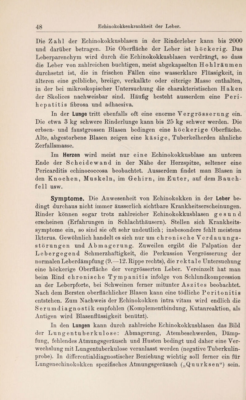 Die Zahl der Echinokokkusblasen in der Binderleber kann bis 2000 und darüber betragen. Die Oberfläche der Leber ist höckerig. Das Leberparenchym wird durch die Echinokokkusblasen verdrängt, so dass die Leber von zahlreichen bucbtigen, meist abgekapselten Hoblräumen durchsetzt ist, die in frischen Fällen eine wasserklare Flüssigkeit, in älteren eine gelbliche, breiige, verkalkte oder eiterige Masse enthalten, in der bei mikroskopischer Untersuchung die charakteristischen Haken der Skolices nachweisbar sind. Häufig besteht ausserdem eine Peri- hepatitis fibrosa und adhaesiva. In der Lunge tritt ebenfalls oft eine enorme Yer gross er ung ein. Die etwa 3 kg schwere Binderlunge kann bis 25 kg schwer werden. Die erbsen- und faustgrossen Blasen bedingen eine höckerige Oberfläche. Alte, abgestorbene Blasen zeigen eine käsige, Tuberkelberden ähnliche Zerfallsmasse. Im Herzen wird meist nur eine Ecbinokokkusblase am unteren Ende der Scheidewand in der Nähe der Herzspitze, seltener eine Pericarditis ecbinococcosa beobachtet. Ausserdem findet man Blasen in den Knochen, Muskeln, im Gehirn, im Euter, auf dem Bauch¬ fell usw. Symptome. Die Anwesenheit von Echinokokken in der Leber be¬ dingt durchaus nicht immer äusserlich sichtbare Krankheitserscheinungen. Binder können sogar trotz zahlreicher Echinokokkusblasen gesund erscheinen (Erfahrungen in Schlachthäusern). Stellen sich Krankheits¬ symptome ein, so sind sie oft sehr undeutlich; insbesondere fehlt meistens Ikterus. Gewöhnlich handelt es sich nur um chronische Verdauungs¬ störungen und Abmagerung. Zuweilen ergibt die Palpation der Lebergegend Schmerzhaftigkeit, die Perkussion Vergrösserung der normalen Leherdämpfung (9.—12.Bippe rechts), die rektale Untersuchung eine höckerige Oberfläche der vergrösserten Leber. Vereinzelt hat man beim Bind chronische Tympanitis infolge von Schlundkompression an der Leberpforte, bei Schweinen ferner mitunter Aszites beobachtet. Nach dem Bersten oberflächlicher Blasen kann eine tödliche Peritonitis entstehen. Zum Nachweis der Echinokokken intra vitam wird endlich die Serumdiagnostik empfohlen (Komplementbindung, Kutanreaktion, als Antigen wird Blasenflüssigkeit benützt). In den Lungen kann durch zahlreiche Echinokokkusblasen das Bild der Lungentuberkulose: Abmagerung, Atemheschwerden, Dämp¬ fung, fehlendes Atmungsgeräusch und Husten bedingt und daher eine Ver¬ wechslung mit Lungentuberkulose veranlasst werden (negative Tuberkulin¬ probe). In differentialdiagnostischer Beziehung wichtig soll ferner ein für Lungenechinokokken spezifisches Atmungsgeräusch („Quurksen“) sein.