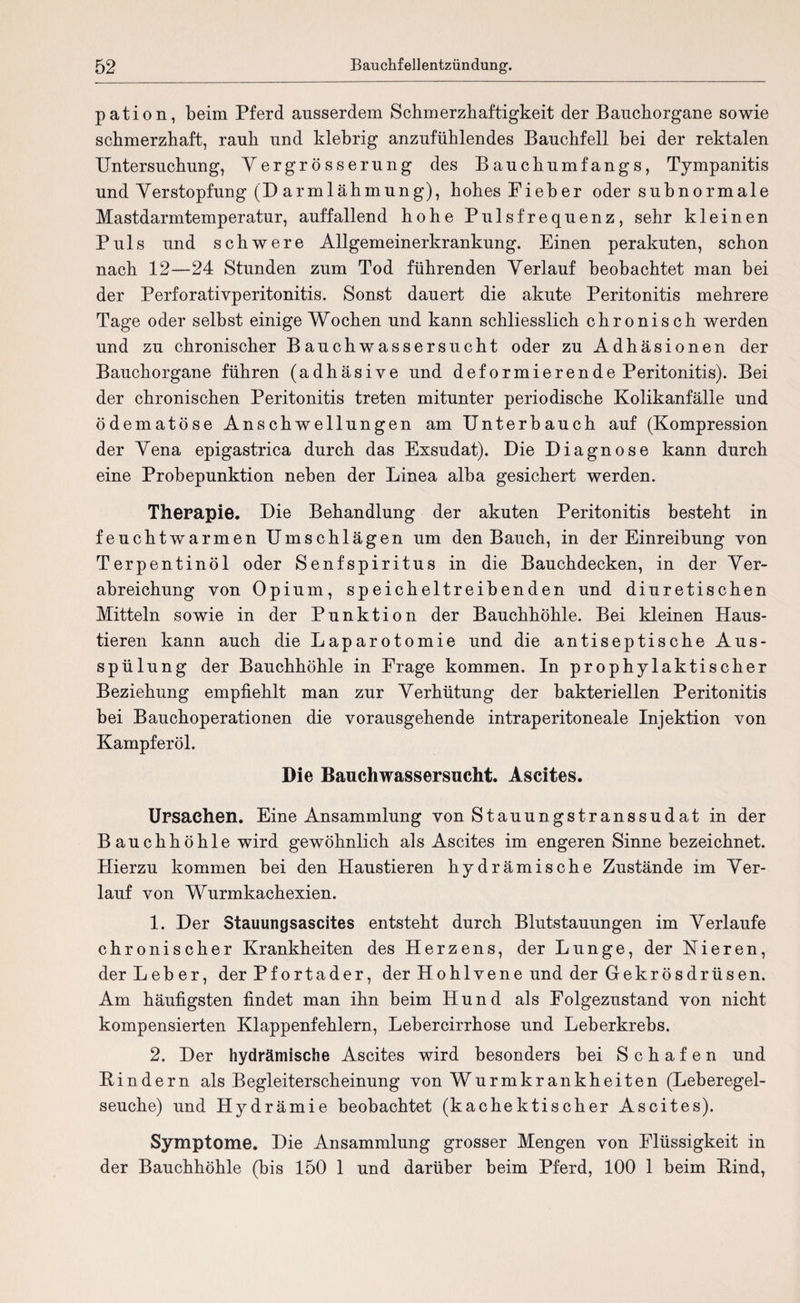 pation, beim Pferd ausserdem Schmerzhaftigkeit der Banchorgane sowie schmerzhaft, rauh und klebrig anzufühlendes Bauchfell bei der rektalen Untersuchung, Yergrösserung des Bauchumfangs, Tympanitis und Verstopfung (D armlähmung), hohes Fieber oder subnormale Mastdarmtemperatur, auffallend hohe Pulsfrequenz, sehr kleinen Puls und schwere Allgemeinerkrankung. Einen perakuten, schon nach 12—24 Stunden zum Tod führenden Verlauf beobachtet man bei der Perforativperitonitis. Sonst dauert die akute Peritonitis mehrere Tage oder selbst einige Wochen und kann schliesslich chronisch werden und zu chronischer Bauchwassersucht oder zu Adhäsionen der Bauchorgane führen (adhäsive und deformierende Peritonitis). Bei der chronischen Peritonitis treten mitunter periodische Kolikanfälle und ödematöse Anschwellungen am Unterbauch auf (Kompression der Vena epigastrica durch das Exsudat). Die Diagnose kann durch eine Probepunktion neben der Linea alba gesichert werden. Therapie. Die Behandlung der akuten Peritonitis besteht in feuchtwarmen Umschlägen um den Bauch, in der Einreibung von Terpentinöl oder Senfspiritus in die Bauchdecken, in der Ver¬ abreichung von Opium, speicheltreibenden und diuretischen Mitteln sowie in der Punktion der Bauchhöhle. Bei kleinen Haus¬ tieren kann auch die Laparotomie und die antiseptische Aus¬ spülung der Bauchhöhle in Frage kommen. In prophylaktischer Beziehung empfiehlt man zur Verhütung der bakteriellen Peritonitis bei Bauchoperationen die vorausgehende intraperitoneale Injektion von Kampferöl. Die Bauchwassersucht. Ascites. Ursachen. Eine Ansammlung von Stauungstranssudat in der Bauchhöhle wird gewöhnlich als Ascites im engeren Sinne bezeichnet. Hierzu kommen bei den Haustieren hydrämische Zustände im Ver¬ lauf von Wurmkachexien. 1. Der Stauungsascites entsteht durch Blutstauungen im Verlaufe chronischer Krankheiten des Herzens, der Lunge, der Nieren, der Leber, der Pfortader, der Hohlvene und der Gekrösdrüsen. Am häufigsten findet man ihn beim Hund als Folgezustand von nicht kompensierten Klappenfehlern, Lehercirrhose und Leberkrebs. 2. Der hydrämische Ascites wird besonders bei Schafen und Bindern als Begleiterscheinung von Wurmkrankheiten (Leberegel¬ seuche) und Hydrämie beobachtet (kac hektisch er Ascites). Symptome. Die Ansammlung grosser Mengen von Flüssigkeit in der Bauchhöhle (bis 150 1 und darüber beim Pferd, 100 1 beim Bind,