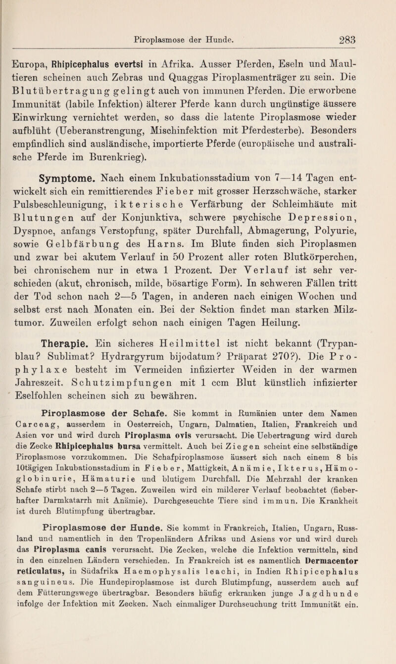 Europa, Rhipicephalus evertsi in Afrika. Ausser Pferden, Eseln und Maul¬ tieren scheinen auch Zebras und Quaggas Piroplasmenträger zu sein. Die Blutübertragung gelingt auch von immunen Pferden. Die erworbene Immunität (labile Infektion) älterer Pferde kann durch ungünstige äussere Einwirkung vernichtet werden, so dass die latente Piroplasmose wieder aufblüht (Ueberanstrengung, Mischinfektion mit Pferdesterbe). Besonders empfindlich sind ausländische, importierte Pferde (europäische und australi¬ sche Pferde im Burenkrieg). Symptome. Nach einem Inkubationsstadium von 7—14 Tagen ent¬ wickelt sich ein remittierendes Fieber mit grosser Herzschwäche, starker Pulsbeschleunigung, ikte rische Verfärbung der Schleimhäute mit Blutungen auf der Konjunktiva, schwere psychische Depression, Dyspnoe, anfangs Verstopfung, später Durchfall, Abmagerung, Polyurie, sowie Gelbfärbung des Harns. Im Blute finden sich Piroplasmen und zwar bei akutem Verlauf in 50 Prozent aller roten Blutkörperchen, bei chronischem nur in etwa 1 Prozent. Der Verlauf ist sehr ver¬ schieden (akut, chronisch, milde, bösartige Form). In schweren Fällen tritt der Tod schon nach 2—5 Tagen, in anderen nach einigen Wochen und selbst erst nach Monaten ein. Bei der Sektion findet man starken Milz¬ tumor. Zuweilen erfolgt schon nach einigen Tagen Heilung. Therapie. Ein sicheres Heilmittel ist nicht bekannt (Trypan- blau? Sublimat? Hydrargyrum bijodatum? Präparat 270?). Die Pro¬ phylaxe besteht im Vermeiden infizierter Weiden in der warmen Jahreszeit. Schutzimpfungen mit 1 ccm Blut künstlich infizierter Eselfohlen scheinen sich zu bewähren. Piroplasmose der Schafe. Sie kommt in Rumänien unter dem Namen Carceag, ausserdem in Oesterreich, Ungarn, Dalmatien, Italien, Frankreich und Asien vor und wird durch Piroplasma ovis verursacht. Die Uebertragung wird durch die Zecke Rhipicephalus bursa vermittelt. Auch bei Ziegen scheint eine selbständige Piroplasmose vorzukommen. Die Schafpiroplasmose äussert sich nach einem 8 bis lOtägigen Inkubationsstadium in Fieber, Mattigkeit, Anämie, Ikterus, Hämo¬ globinurie, Hämaturie und blutigem Durchfall. Die Mehrzahl der kranken Schafe stirbt nach 2—5 Tagen. Zuweilen wird ein milderer Verlauf beobachtet (fieber¬ hafter Darmkatarrh mit Anämie). Durchgeseuchte Tiere sind immun. Die Krankheit ist durch Blutimpfung übertragbar. Piroplasmose der Hunde. Sie kommt in Frankreich, Italien, Ungarn, Russ¬ land und namentlich in den Tropenländern Afrikas und Asiens vor und wird durch das Piroplasma canis verursacht. Die Zecken, welche die Infektion vermitteln, sind in den einzelnen Ländern verschieden. In Frankreich ist es namentlich Dermacentor reticulatus, in Südafrika Haemophysalis leachi, in Indien Rhipicephalus sanguineus. Die Hundepiroplasmose ist durch Blutimpfung, ausserdem auch auf dem Fütterungswege übertragbar. Besonders häufig erkranken junge Jagdhunde infolge der Infektion mit Zecken. Nach einmaliger Durchseuchung tritt Immunität ein.