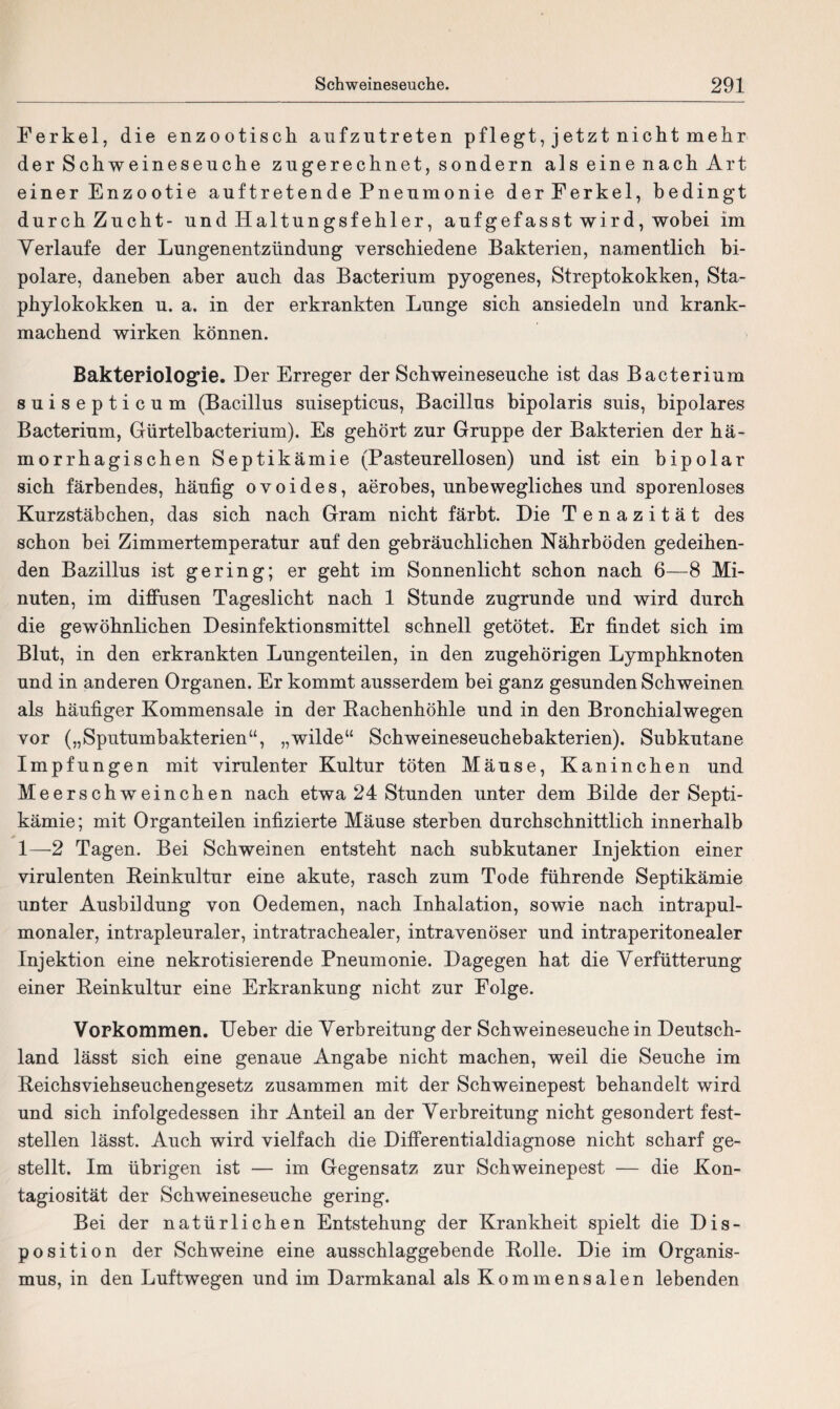 Ferkel, die enzootisch aufzutreten pflegt, jetzt nicht mehr der Schweineseuche zngerechnet, sondern als eine nach Art einer Enzootie auftretende Pneumonie der Ferkel, bedingt durch Zucht- und Haltungsfehler, aufgefasst wird, wobei im Verlaufe der Lungenentzündung verschiedene Bakterien, namentlich bi¬ polare, daneben aber auch das Bacterium pyogenes, Streptokokken, Sta¬ phylokokken u. a. in der erkrankten Lunge sich ansiedeln und krank¬ machend wirken können. Bakteriologie. Der Erreger der Schweineseuche ist das Bacterium suisepticum (Bacillus suisepticus, Bacillus bipolaris suis, bipolares Bacterium, Gürtelbacterium). Es gehört zur Gruppe der Bakterien der hä- morrhagischen Septikämie (Pasteureilosen) und ist ein bipolar sich färbendes, häufig o v o i d e s, aerobes, unbewegliches und sporenloses Kurzstäbchen, das sich nach Gram nicht färbt. Die Tenazität des schon bei Zimmertemperatur auf den gebräuchlichen Nährböden gedeihen¬ den Bazillus ist gering; er geht im Sonnenlicht schon nach 6—8 Mi¬ nuten, im diffusen Tageslicht nach 1 Stunde zugrunde und wird durch die gewöhnlichen Desinfektionsmittel schnell getötet. Er findet sich im Blut, in den erkrankten Lungenteilen, in den zugehörigen Lymphknoten und in anderen Organen. Er kommt ausserdem bei ganz gesunden Schweinen als häufiger Kommensale in der Rachenhöhle und in den Bronchialwegen vor („Sputumbakterien“, „wilde“ Schweineseuchebakterien). Subkutane Impfungen mit virulenter Kultur töten Mäuse, Kaninchen und Meerschweinchen nach etwa 24 Stunden unter dem Bilde der Septi¬ kämie; mit Organteilen infizierte Mäuse sterben durchschnittlich innerhalb 1—2 Tagen. Bei Schweinen entsteht nach subkutaner Injektion einer virulenten Reinkultur eine akute, rasch zum Tode führende Septikämie unter Ausbildung von Oedemen, nach Inhalation, sowie nach intrapul¬ monaler, intrapleuraler, intratrachealer, intravenöser und intraperitonealer Injektion eine nekrotisierende Pneumonie. Dagegen hat die Verfütterung einer Reinkultur eine Erkrankung nicht zur Folge. Vorkommen. Heber die Verbreitung der Schweineseuche in Deutsch¬ land lässt sich eine genaue Angabe nicht machen, weil die Seuche im Reichsviehseuchengesetz zusammen mit der Schweinepest behandelt wird und sich infolgedessen ihr Anteil an der Verbreitung nicht gesondert fest¬ stellen lässt. Auch wird vielfach die Differentialdiagnose nicht scharf ge¬ stellt. Im übrigen ist — im Gegensatz zur Schweinepest — die Kon- tagiosität der Schweineseuche gering. Bei der natürlichen Entstehung der Krankheit spielt die Dis¬ position der Schweine eine ausschlaggebende Rolle. Die im Organis¬ mus, in den Luftwegen und im Darmkanal als Kommensalen lebenden