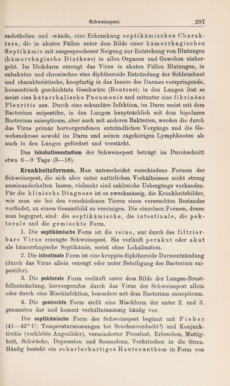 endothelien und -wände, eine Erkrankung septikämischen Charak¬ ters, die in akuten Fällen unter dem Bilde einer hämorrhagischen Septikämie mit ausgesprochener Neigung zur Entstehung von Blutungen (hämorrhagische Diathese) in allen Organen und Geweben einher¬ geht. Im Dickdarm erzeugt das Virus in akuten Fällen Blutungen, in subakuten und chronischen eine diphtheroide Entzündung der Schleimhaut und charakteristische, knopfartig in das Innere des Darmes vorspringende, konzentrisch geschichtete Geschwüre (Boutons); in den Lungen löst es meist eine katarrhalische Pneumonie und mitunter eine fibrinöse Pleuritis aus. Durch eine sekundäre Infektion, im Darm meist mit dem Bacterium suipestifer, in den Lungen hauptsächlich mit dem bipolaren Bacterium suisepticum, aber auch mit anderen Bakterien, werden die durch das Virus primär hervorgerufenen entzündlichen Vorgänge und die Ge- websnekrose sowohl im Darm und seinen zugehörigen Lymphknoten als auch in den Lungen gefördert und verstärkt. Das Inkubationsstadium der Schweinepest beträgt im Durchschnitt etwa 6—9 Tage (3—18). Krankheitsformen. Man unterscheidet verschiedene Formen der Schweinepest, die sich aber unter natürlichen Verhältnissen nicht streng auseinanderhalten lassen, vielmehr sind zahlreiche Uebergänge vorhanden. Für die klinische Diagnose ist es zweckmässig, die Krankheitsbilder, wie man sie bei den verschiedenen Tieren eines verseuchten Bestandes vorfindet, zu einem Gesamtbild zu vereinigen. Die einzelnen Formen, denen man begegnet, sind: die septikämische, die intestinale, die pek- torale und die gemischte Form. 1. Die septikämische Form ist die reine, nur durch das filtrier¬ bare Virus erzeugte Schweinepest. Sie verläuft per akut oder akut als hämorrhagische Septikämie, meist ohne Lokalisation. 2. Die intestinale Form ist eine kruppös-diphtheroide Darmentzündung (durch das Virus allein erzeugt oder unter Beteiligung des Bacterium sui¬ pestifer). 3. Die pektorale Form verläuft unter dem Bilde der Lungen-Brust- fellentzündung, hervorgerufen durch das Virus der Schweinepest allein oder durch eine Mischinfektion, besonders mit dem Bacterium suisepticum. 4. Die gemischte Form stellt eine Mischform der unter 2. und 3. genannten dar und kommt verhältnismässig häufig vor. Die septikämische Form der Schweinepest beginnt mit Fieber (41—42° C; Temperaturmessungen bei Seuchen verdacht!) und Konjunk¬ tivitis (verklebte Augenlider), verminderter Fresslust, Erbrechen, Mattig¬ keit, Schwäche, Depression und Somnolenz, Verkriechen in die Streu. Häufig besteht ein scharlachartiges Hautexanthem in Form von