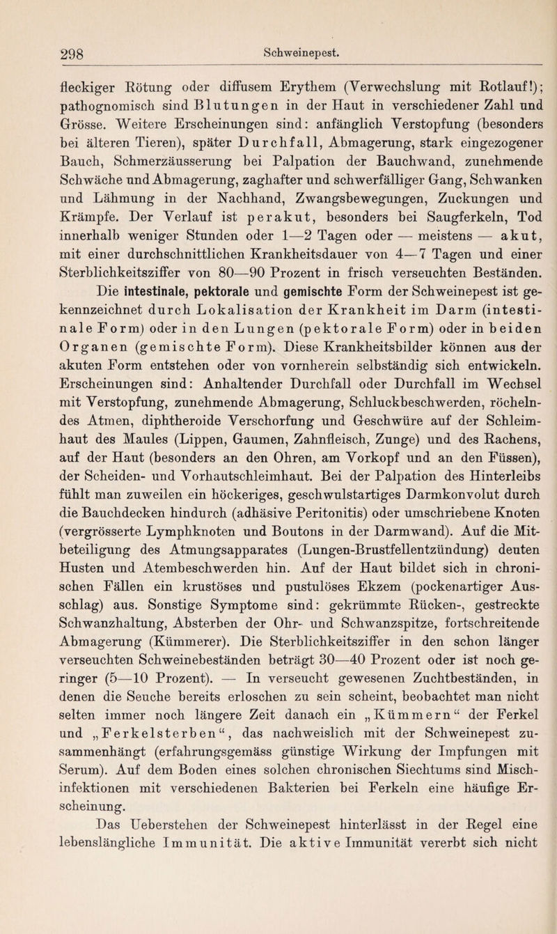 fleckiger Rötung oder diffusem Erythem (Verwechslung mit Rotlauf!); pathognomisch sind Blutungen in der Haut in verschiedener Zahl und Grösse. Weitere Erscheinungen sind: anfänglich Verstopfung (besonders bei älteren Tieren), später Durchfall, Abmagerung, stark eingezogener Bauch, Schmerzäusserung bei Palpation der Bauchwand, zunehmende Schwäche und Abmagerung, zaghafter und schwerfälliger Gang, Schwanken und Lähmung in der Nachhand, Zwangsbewegungen, Zuckungen und Krämpfe. Der Verlauf ist per akut, besonders bei Saugferkeln, Tod innerhalb weniger Stunden oder 1—2 Tagen oder — meistens — akut, mit einer durchschnittlichen Krankheitsdauer von 4—7 Tagen und einer Sterblichkeitsziffer von 80—90 Prozent in frisch verseuchten Beständen. Die intestinale, pektorale und gemischte Form der Schweinepest ist ge¬ kennzeichnet durch Lokalisation der Krankheit im Darm (intesti¬ nale Form) oder in den Lungen (pektorale Form) oder in beiden Organen (gemischte Form). Diese Krankheitsbilder können aus der akuten Form entstehen oder von vornherein selbständig sich entwickeln. Erscheinungen sind: Anhaltender Durchfall oder Durchfall im Wechsel mit Verstopfung, zunehmende Abmagerung, Schluckbeschwerden, röcheln¬ des Atmen, diphtheroide Verschorfung und Geschwüre auf der Schleim¬ haut des Maules (Lippen, Gaumen, Zahnfleisch, Zunge) und des Rachens, auf der Haut (besonders an den Ohren, am Vorkopf und an den Füssen), der Scheiden- und Vorhautschleimhaut. Bei der Palpation des Hinterleibs fühlt man zuweilen ein höckeriges, geschwulstartiges Darmkonvolut durch die Bauchdecken hindurch (adhäsive Peritonitis) oder umschriebene Knoten (vergrösserte Lymphknoten und Boutons in der Darmwand). Auf die Mit¬ beteiligung des Atmungsapparates (Lungen-Brustfellentzündung) deuten Husten und Atembeschwerden hin. Auf der Haut bildet sich in chroni¬ schen Fällen ein krustöses und pustulöses Ekzem (pockenartiger Aus¬ schlag) aus. Sonstige Symptome sind: gekrümmte Rücken-, gestreckte Schwanzhaltung, Absterben der Ohr- und Schwanzspitze, fortschreitende Abmagerung (Kümmerer). Die Sterblichkeitsziffer in den schon länger verseuchten Schweinebeständen beträgt 30—40 Prozent oder ist noch ge¬ ringer (5—10 Prozent). — In verseucht gewesenen Zuchtbeständen, in denen die Seuche bereits erloschen zu sein scheint, beobachtet man nicht selten immer noch längere Zeit danach ein „Kümmern“ der Ferkel und „Ferkelsterben“, das nachweislich mit der Schweinepest zu¬ sammenhängt (erfahrungsgemäss günstige Wirkung der Impfungen mit Serum). Auf dem Boden eines solchen chronischen Siechtums sind Misch¬ infektionen mit verschiedenen Bakterien bei Ferkeln eine häufige Er¬ scheinung. Das Ueberstehen der Schweinepest hinterlässt in der Regel eine lebenslängliche Immunität. Die aktive Immunität vererbt sich nicht