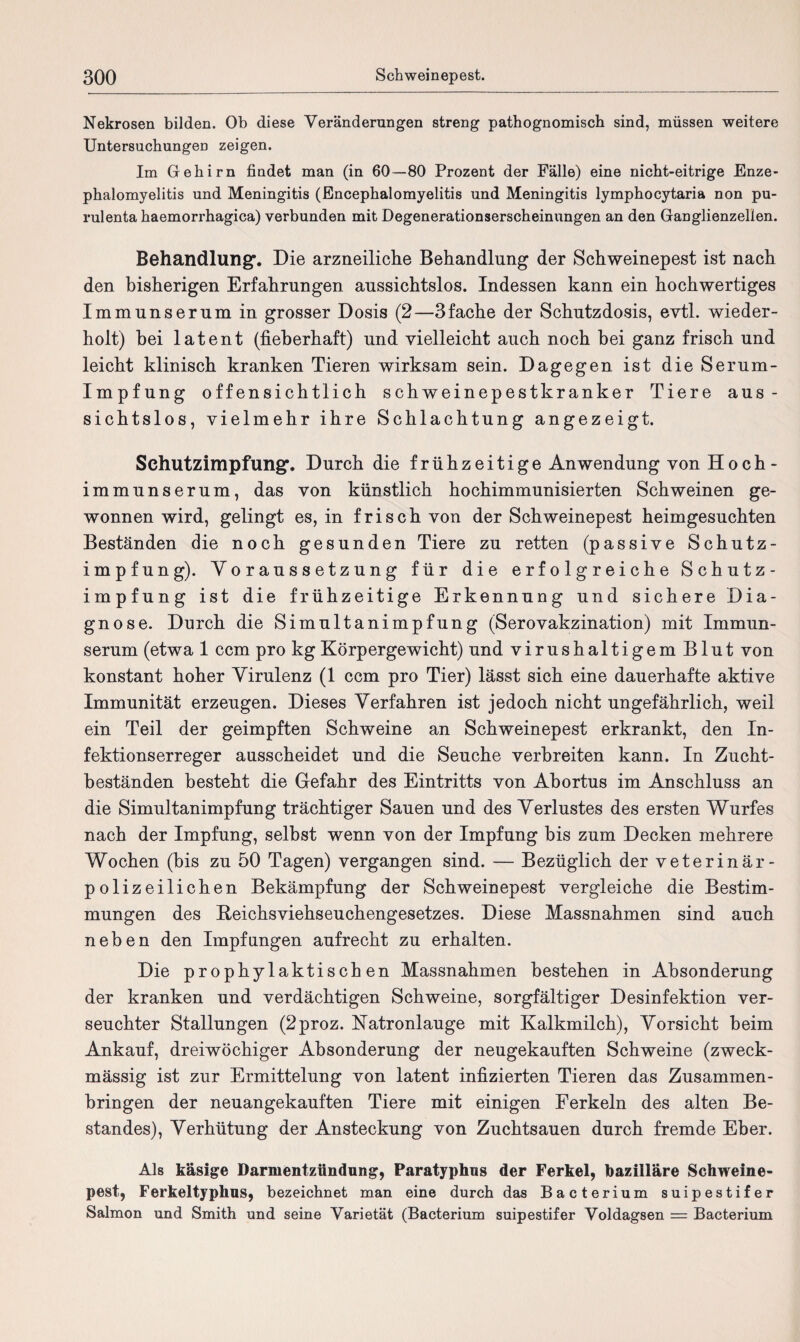Nekrosen bilden. Ob diese Veränderungen streng pathognomisch sind, müssen weitere Untersuchungen zeigen. Im Gehirn findet man (in 60—80 Prozent der Fälle) eine nicht-eitrige Enze¬ phalomyelitis und Meningitis (Encephalomyelitis und Meningitis lymphocytaria non pu- rulenta haemorrhagica) verbunden mit Degenerationserscheinungen an den Ganglienzellen. Behandlung*. Die arzneiliche Behandlung der Schweinepest ist nach den bisherigen Erfahrungen aussichtslos. Indessen kann ein hochwertiges Immunserum in grosser Dosis (2—3fache der Schutzdosis, evtl, wieder¬ holt) bei latent (fieberhaft) und vielleicht auch noch bei ganz frisch und leicht klinisch kranken Tieren wirksam sein. Dagegen ist die Serum- Impfung offensichtlich schweinepestkranker Tiere aus¬ sichtslos, vielmehr ihre Schlachtung angezeigt. Schutzimpfung*. Durch die frühzeitige Anwendung von Hoch - immunserum, das von künstlich hochimmunisierten Schweinen ge¬ wonnen wird, gelingt es, in frisch von der Schweinepest heimgesuchten Beständen die noch gesunden Tiere zu retten (passive Schutz¬ impfung). Voraussetzung für die erfolgreiche Schutz¬ impfung ist die frühzeitige Erkennung und sichere Dia¬ gnose. Durch die Simultanimpfung (Serovakzination) mit Immun¬ serum (etwa 1 ccm pro kg Körpergewicht) und virushaltigem Blut von konstant hoher Virulenz (1 ccm pro Tier) lässt sich eine dauerhafte aktive Immunität erzeugen. Dieses Verfahren ist jedoch nicht ungefährlich, weil ein Teil der geimpften Schweine an Schweinepest erkrankt, den In¬ fektionserreger ausscheidet und die Seuche verbreiten kann. In Zucht¬ beständen besteht die Gefahr des Eintritts von Ahortus im Anschluss an die Simultanimpfung trächtiger Sauen und des Verlustes des ersten Wurfes nach der Impfung, selbst wenn von der Impfung bis zum Decken mehrere Wochen (bis zu 50 Tagen) vergangen sind. — Bezüglich der veterinär- polizeilichen Bekämpfung der Schweinepest vergleiche die Bestim¬ mungen des Reichsviehseuchengesetzes. Diese Massnahmen sind auch neben den Impfungen aufrecht zu erhalten. Die prophylaktischen Massnahmen bestehen in Absonderung der kranken und verdächtigen Schweine, sorgfältiger Desinfektion ver¬ seuchter Stallungen (2proz. Natronlauge mit Kalkmilch), Vorsicht beim Ankauf, dreiwöchiger Absonderung der neugekauften Schweine (zweck¬ mässig ist zur Ermittelung von latent infizierten Tieren das Zusammen¬ bringen der neuangekauften Tiere mit einigen Ferkeln des alten Be¬ standes), Verhütung der Ansteckung von Zuchtsauen durch fremde Eber. Als käsige Darmentzündung, Paratyphus der Ferkel, bazilläre Schweine¬ pest, Ferkeltyphus, bezeichnet man eine durch das Bacterium suipestifer Salmon und Smith und seine Varietät (Bacterium suipestifer Voldagsen = Bacterium