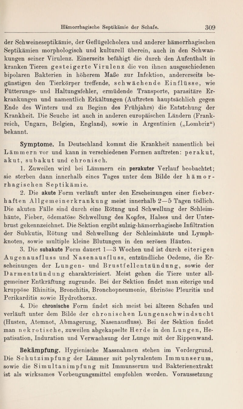 der Schweineseptikämie, der Geflügelcholera und anderer hämorrhagischen Septikämien morphologisch und kulturell überein, auch in den Schwan¬ kungen seiner Virulenz. Einerseits befähigt die durch den Aufenthalt in kranken Tieren gesteigerteVirulenz die von ihnen ausgeschiedenen bipolaren Bakterien in höherem Maße zur Infektion, andererseits be¬ günstigen den Tierkörper treffende, schwächende Einflüsse, wie Fütterungs- und Haltungsfehler, ermüdende Transporte, parasitäre Er¬ krankungen und namentlich Erkältungen (Auftreten hauptsächlich gegen Ende des Winters und zu Beginn des Frühjahrs) die Entstehung der Krankheit. Die Seuche ist auch in anderen europäischen Ländern (Frank¬ reich, Ungarn, Belgien, England), sowie in Argentinien („Lombriz“) bekannt. Symptome. In Deutschland kommt die Krankheit namentlich bei Lämmern vor und kann in verschiedenen Formen auftreten: per akut, akut, subakut und chronisch. 1. Zuweilen wird bei Lämmern ein perakuter Verlauf beobachtet; sie sterben dann innerhalb eines Tages unter dem Bilde der hämor¬ rhagischen Septikämie. 2. Die akute Form verläuft unter den Erscheinungen einer fieber¬ haften Allgemeinerkrankung meist innerhalb 2—5 Tagen tödlich. Die akuten Fälle sind durch eine Rötung und Schwellung der Schleim¬ häute, Fieber, ödematöse Schwellung des Kopfes, Halses und der Unter¬ brust gekennzeichnet. Die Sektion ergibt sulzig-hämorrhagische Infiltration der Subkutis, Rötung und Schwellung der Schleimhäute und Lymph¬ knoten, sowie multiple kleine Blutungen in den serösen Häuten. 3. Die subakute Form dauert 1—3 Wochen und ist durch eiterigen Augenausfluss und Nasenausfluss, entzündliche Oedeme, die Er¬ scheinungen der Lungen- und Brustfellentzündung, sowie der Darmentzündung charakterisiert. Meist gehen die Tiere unter all¬ gemeiner Entkräftung zugrunde. Bei der Sektion findet man eiterige und kruppöse Rhinitis, Bronchitis, Bronchopneumonie, fibrinöse Pleuritis und Perikarditis sowie Hydrothorax. 4. Die chronische Form findet sich meist bei älteren Schafen und verläuft unter dem Bilde der chronischen Lungenschwindsucht (Husten, Atemnot, Abmagerung, Nasenausfluss). Bei der Sektion findet man nekrotische, zuweilen abgekapselte Herde in den Lungen, He¬ patisation, Induration und Verwachsung der Lunge mit der Rippenwand. Bekämpfung’. Hygienische Massnahmen stehen im Vordergrund. Die Schutzimpfung der Lämmer mit polyvalentem Immunserum, sowie die Simultanimpfung mit Immunserum und Bakterienextrakt ist als wirksames Vorbeugungsmittel empfohlen worden. Voraussetzung