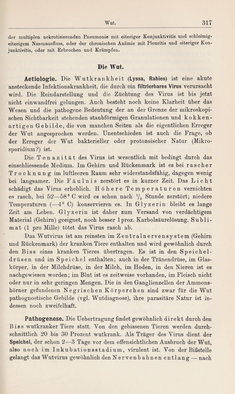 der multiplen nekrotisierenden Pneumonie mit eiteriger Konjunktivitis und schleimig¬ eiterigem Nasenausfluss, oder der chronischen Anämie mit Pleuritis und eiteriger Kon¬ junktivitis, oder mit Erbrechen und Krämpfen. Die Wut. Aetiologfie. Die Wutkrankheit (Lyssa, Rabies) ist eine akute ansteckende Infektionskrankheit, die durch ein filtrierbares Virus verursacht wird. Die Reindarstellung und die Züchtung des Virus ist bis jetzt nicht einwandfrei gelungen. Auch besteht noch keine Klarheit über das Wesen und die pathogene Bedeutung der an der Grenze der mikroskopi¬ schen Sichtbarkeit stehenden staubförmigen Granulationen und kokken¬ artigen Gebilde, die von manchen Seiten als die eigentlichen Erreger der Wut angesprochen werden. Unentschieden ist auch die Frage, ob der Erreger der Wut bakterieller oder protozoischer Natur (Mikro- sporidium?) ist. Die Tenazität des Virus ist wesentlich mit bedingt durch das einschliessende Medium. Im Gehirn und Rückenmark ist es bei rascher Trocknung im luftleeren Raum sehr widerstandsfähig, dagegen wenig bei langsamer. Die Fäulnis zerstört es in kurzer Zeit. Das Licht schädigt das Virus erheblich. Höhere Temperaturen vernichten es rasch, bei 52—58° C wird es schon nach 1/2 Stunde zerstört; niedere Temperaturen (—4° C) konservieren es. In Glyzerin bleibt es lange Zeit am Leben. Glyzerin ist daher zum Versand von verdächtigem Material (Gehirn) geeignet, noch besser lproz. Karbolsäurelösung. Subli¬ mat (1 pro Mille) tötet das Virus rasch ab. Das Wutvirus ist am reinsten im Zentralnervensystem (Gehirn und Rückenmark) der kranken Tiere enthalten und wird gewöhnlich durch den Biss eines kranken Tieres übertragen. Es ist in den Speichel¬ drüsen und im Speichel enthalten; auch in der Tränendrüse, im Glas¬ körper, in der Milchdrüse, in der Milch, im Hoden, in den Nieren ist es nachgewiesen worden; im Blut ist es zeitweise vorhanden, im Fleisch nicht oder nur in sehr geringen Mengen. Die in den Ganglienzellen der Ammons¬ hörner gefundenen Negrischen Körperchen sind zwar für die Wut pathognostische Gebilde (vgl. Wutdiagnose), ihre parasitäre Natur ist in¬ dessen noch zweifelhaft. Pathogenese. Die Uebertragung findet gewöhnlich direkt durch den Biss wutkranker Tiere statt. Von den gebissenen Tieren werden durch¬ schnittlich 20 bis 30 Prozent wutkrank. Als Träger des Virus dient der Speichel, der schon 2—3 Tage vor dem offensichtlichen Ausbruch der Wut, also noch im Inkubationsstadium, virulent ist. Von der Bißstelle gelangt das Wutvirus gewöhnlich den Nervenbahnen entlang — nach