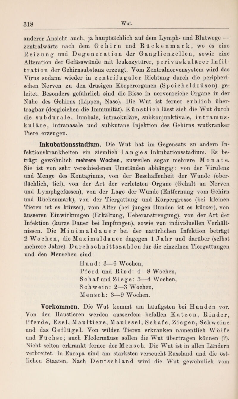 anderer Ansicht auch, ja hauptsächlich auf dem Lymph- und Blutwege — zentralwärts nach dem Gehirn und Bückenmark, wo es eine Beizung und Degeneration der Ganglienzellen, sowie eine Alteration der Gefässwände mit leukozytärer, perivaskulärer Infil¬ tration der Gehirnsubstanz erzeugt. Vom Zentralnervensystem wird das Virus sodann wieder in zentrifugaler Bichtung durch die peripheri¬ schen Nerven zu den drüsigen Körperorganen (Speicheldrüsen) ge¬ leitet. Besonders gefährlich sind die Bisse in nervenreiche Organe in der Nähe des Gehirns (Lippen, Nase). Die Wut ist ferner erblich über¬ tragbar (desgleichen die Immunität). Künstlich lässt sich die Wut durch die subdurale, lumbale, intraokuläre, subkonjunktivale, intramus¬ kuläre, intranasale und subkutane Injektion des Gehirns wutkranker Tiere erzeugen. Inkubationsstadium. Die Wut hat im Gegensatz zu andern In¬ fektionskrankheiten ein ziemlich langes Inkubationsstadium. Es be¬ trägt gewöhnlich mehrere Wochen, zuweilen sogar mehrere Monate. Sie ist von sehr verschiedenen Umständen abhängig: von der Virulenz und Menge des Kontagiums, von der Beschaffenheit der Wunde (ober¬ flächlich, tief), von der Art der verletzten Organe (Gehalt an Nerven und Lymphgefässen), von der Lage der Wunde (Entfernung vom Gehirn und Bückenmark), von der Tiergattung und Körpergrösse (bei kleinen Tieren ist es kürzer), vom Alter (bei jungen Hunden ist es kürzer), von äusseren Einwirkungen (Erkältung, Ueberanstrengung), von der Art der Infektion (kurze Dauer bei Impfungen), sowie von individuellen Verhält¬ nissen. Die Minimaldauer bei der natürlichen Infektion beträgt 2 Wochen, die Max i mal d au er dagegen 1 Jahr und darüber (selbst mehrere Jahre). Durchschnittszahlen für die einzelnen Tiergattungen und den Menschen sind: Hund: 3—6 Wochen, Pferd und Bind: 4—8 Wochen, Schaf und Ziege: 3—4 Wochen, Schwein: 2—3 Wochen, Mensch: 3—9 Wochen. Vorkommen. Die Wut kommt am häufigsten bei Hunden vor. Von den Haustieren werden ausserdem befallen Katzen, Binder, Pferde, Esel, Maultiere, Maulesel, Schafe, Ziegen, Schweine und das Geflügel. Von wilden Tieren erkranken namentlich Wölfe und Eüchse; auch Fledermäuse sollen die Wut übertragen können (?). Nicht selten erkrankt ferner der Mensch. Die Wut ist in allen Ländern verbreitet. In Europa sind am stärksten verseucht Bussland und die öst¬ lichen Staaten. Nach Deutschland wird die Wut gewöhnlich vom