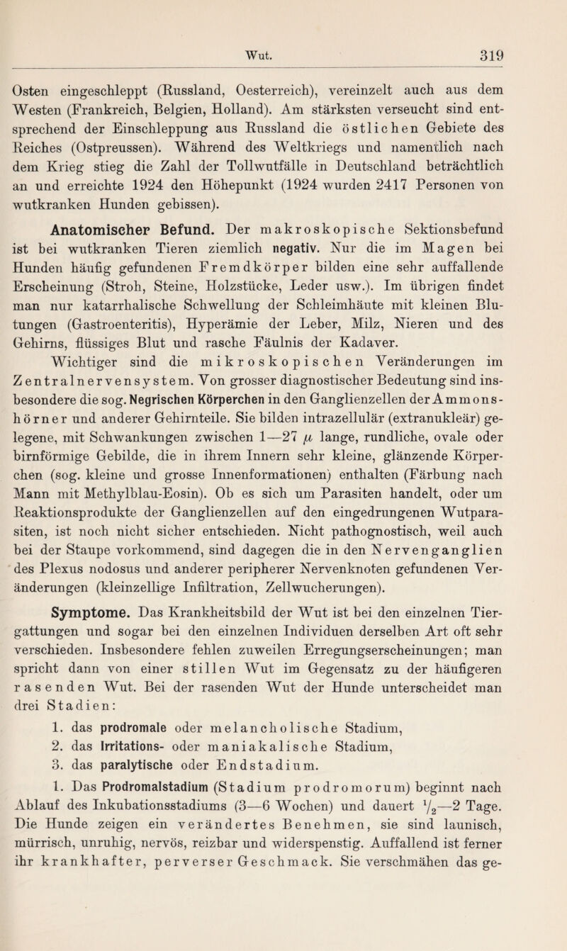 Osten eingeschleppt (Russland, Oesterreich), vereinzelt auch aus dem Westen (Frankreich, Belgien, Holland). Am stärksten verseucht sind ent¬ sprechend der Einschleppung aus Russland die östlichen Gebiete des Reiches (Ostpreussen). Während des Weltkriegs und namentlich nach dem Krieg stieg die Zahl der Tollwutfälle in Deutschland beträchtlich an und erreichte 1924 den Höhepunkt (1924 wurden 2417 Personen von wutkranken Hunden gebissen). Anatomischer Befund. Der makroskopische Sektionsbefund ist bei wutkranken Tieren ziemlich negativ. Nur die im Magen bei Hunden häufig gefundenen Fremdkörper bilden eine sehr auffallende Erscheinung (Stroh, Steine, Holzstücke, Leder usw.). Im übrigen findet man nur katarrhalische Schwellung der Schleimhäute mit kleinen Blu¬ tungen (Gastroenteritis), Hyperämie der Leber, Milz, Nieren und des Gehirns, flüssiges Blut und rasche Fäulnis der Kadaver. Wichtiger sind die mikroskopischen Veränderungen im Zentralnervensystem.Von grosser diagnostischer Bedeutung sind ins¬ besondere die sog. Negrischen Körperchen in den Ganglienzellen der Ammons¬ hörner und anderer Gehirnteile. Sie bilden intrazellulär (extranukleär) ge¬ legene, mit Schwankungen zwischen 1—27 \i lange, rundliche, ovale oder bimförmige Gebilde, die in ihrem Innern sehr kleine, glänzende Körper¬ chen (sog. kleine und grosse Innenformationen) enthalten (Färbung nach Mann mit Methylblau-Eosin). Ob es sich um Parasiten handelt, oder um Reaktionsprodukte der Ganglienzellen auf den eingedrungenen Wutpara¬ siten, ist noch nicht sicher entschieden. Nicht pathognostisch, weil auch bei der Staupe vorkommend, sind dagegen die in den Nervenganglien des Plexus nodosus und anderer peripherer Nervenknoten gefundenen Ver¬ änderungen (kleinzellige Infiltration, Zellwucherungen). Symptome. Das Krankheitsbild der Wut ist bei den einzelnen Tier¬ gattungen und sogar bei den einzelnen Individuen derselben Art oft sehr verschieden. Insbesondere fehlen zuweilen Erregungserscheinungen; man spricht dann von einer stillen Wut im Gegensatz zu der häufigeren rasenden Wut. Bei der rasenden Wut der Hunde unterscheidet man drei Stadien: 1. das prodromale oder melancholische Stadium, 2. das Irritations- oder maniakalische Stadium, 3. das paralytische oder Endstadium. 1. Das Prodromalstadium (Stadium prodromorum) beginnt nach Ablauf des Inkubationsstadiums (3—6 Wochen) und dauert l/2—2 Tage. Die Hunde zeigen ein verändertes Benehmen, sie sind launisch, mürrisch, unruhig, nervös, reizbar und widerspenstig. Auffallend ist ferner ihr krankhafter, perverser Geschmack. Sie verschmähen das ge-