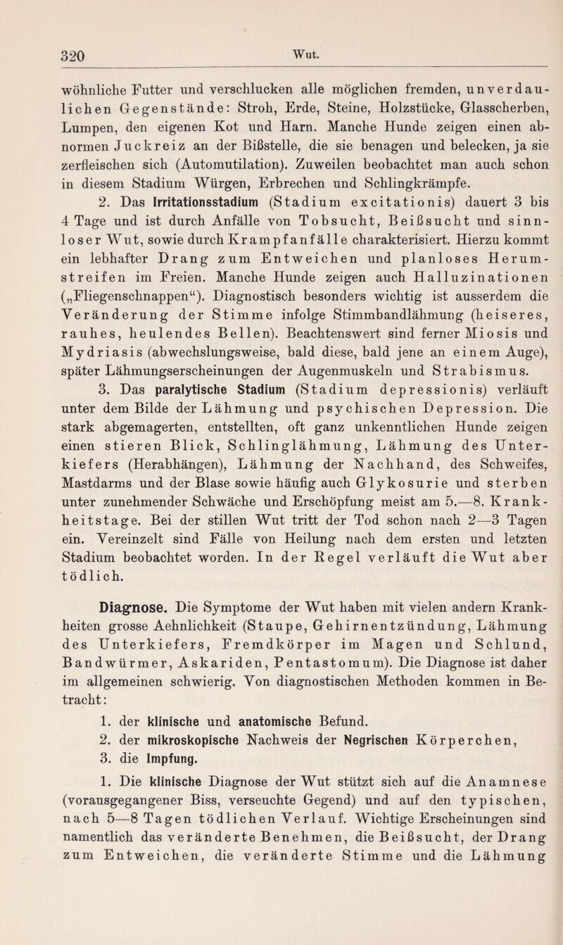 wohnliche Futter und verschlucken alle möglichen fremden, unverdau¬ lichen Gegenstände: Stroh, Erde, Steine, Holzstücke, Glasscherben, Lumpen, den eigenen Kot und Harn. Manche Hunde zeigen einen ab¬ normen Juckreiz an der Bißstelle, die sie benagen und belecken, ja sie zerfleischen sich (Automutilation). Zuweilen beobachtet man auch schon in diesem Stadium Würgen, Erbrechen und Schlingkrämpfe. 2. Das Irritationsstadium (Stadium excitationis) dauert 3 bis 4 Tage und ist durch Anfälle von Tobsucht, Beißsucht und sinn¬ loser Wut, sowie durch Kr am pf an fälle charakterisiert. Hierzu kommt ein lebhafter Drang zum Entweichen und planloses Herum¬ streifen im Freien. Manche Hunde zeigen auch Halluzinationen („Fliegenschnappen“). Diagnostisch besonders wichtig ist ausserdem die Veränderung der Stimme infolge Stimmbandlähmung (heiseres, rauhes, heulendes Bellen). Beachtenswert sind ferner Miosis und Mydriasis (abwechslungsweise, bald diese, bald jene an einem Auge), später Lähmungserscheinungen der Augenmuskeln und Strabismus. 3. Das paralytische Stadium (Stadium depressionis) verläuft unter dem Bilde der Lähmung und psychischen Depression. Die stark abgemagerten, entstellten, oft ganz unkenntlichen Hunde zeigen einen stieren Blick, Schlinglähmung, Lähmung des Unter¬ kiefers (Herabhängen), Lähmung der Nachhand, des Schweifes, Mastdarms und der Blase sowie häufig auch Glykosurie und sterben unter zunehmender Schwäche und Erschöpfung meist am 5.—8. Krank¬ heitstage. Bei der stillen Wut tritt der Tod schon nach 2—3 Tagen ein. Vereinzelt sind Fälle von Heilung nach dem ersten und letzten Stadium beobachtet worden. In der Kegel verläuft die Wut aber tödlich. Diagnose. Die Symptome der Wut haben mit vielen andern Krank¬ heiten grosse Aehnlichkeit (Staupe, Gehirnentzündung, Lähmung des Unterkiefers, Fremdkörper im Magen und Schlund, Bandwürmer, Askariden, Pentastomum). Die Diagnose ist daher im allgemeinen schwierig. Von diagnostischen Methoden kommen in Be¬ tracht : 1. der klinische und anatomische Befund. 2. der mikroskopische Nachweis der Negrischen Körperchen, 3. die Impfung. 1. Die klinische Diagnose der Wut stützt sich auf die Anamnese (vorausgegangener Biss, verseuchte Gegend) und auf den typischen, nach 5—8 Tagen tödlichen Verlauf. Wichtige Erscheinungen sind namentlich das veränderte Benehmen, die Beißsucht, der Drang zum Entweichen, die veränderte Stimme und die Lähmung