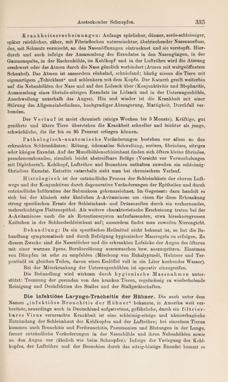 Krankheitserscheinungen: Anfangs spärlicher, dünner, serös-schleimiger, später reichlicher, zäher, mit Fibrinflocken untermischter, übelriechender Nasenausfluss, der, mit Schmutz vermischt, an den Nasenöffnungen eintrocknet und sie verstopft. Hier¬ durch und auch infolge der Ansammlung des Exsudates in den Nasengängen, in der Gaumenspalte, in der Rachenhöhle, im Kehlkopf und in der Luftröhre wird die Atmung erschwert oder das Atmen durch die Nase gänzlich verhindert (Atmen mit weitgeöffnetem Schnabel). Das Atmen ist ausserdem röchelnd, schniefend; häufig niesen die Tiere mit eigenartigem „Tchicklaut“ und schlenkern mit dem Kopfe. Der Katarrh greift weiterhin auf die Nebenhöhlen der Nase und auf den Lidsack über (Konjunktivitis und Blepharitis, Ansammlung eines fibrinös-eitrigen Exsudats im Lidsack und in der Unteraugenhöhle, Anschwellung unterhalb des Auges). Hin und wieder ist die Krankheit mit einer Störung des Allgemeinbefindens, hochgradiger Abmagerung, Mattigkeit, Durchfall ver¬ bunden. Der Verlauf ist meist chronisch (einige Wochen bis 3 Monate). Kräftige, gut genährte und ältere Tiere überstehen die Krankheit schneller und leichter als junge, schwächliche, die ihr bis zu 95 Prozent erliegen können. Pathologisch-anatomische Veränderungen bestehen vor allem an den erkrankten Schleimhäuten: Rötung, ödematöse Schwellung, seröses, fibrinöses, eitriges oder käsiges Exsudat. Auf der Mundhöhlenschleimhaut finden sich öfters kleine fibrinöse, pseudomembranöse, ziemlich leicht abstreifbare Beläge (Vorsicht vor Verwechslungen mit Diphtherie!). Kehlkopf, Luftröhre und Bronchien enthalten zuweilen ein schleimig- fibrinöses Exsudat. Enteritis catarrhalis sieht man bei chronischem Verlauf. Histologisch ist der entzündliche Prozess der Schleimhäute der oberen Luft¬ wege und der Konjunktiven durch degenerative Veränderungen der Epithelien und durch entzündliche Infiltration der Submukosa gekennzeichnet. Im Gegensatz dazu handelt es sich bei der klinisch sehr ähnlichen A-Avitaminose um einen für diese Erkrankung streng spezifischen Ersatz der Schleimhaut- und Drüsenzellen durch ein verhornendes, mehrschichtiges Plattenepithel. Als weitere charakteristische Erscheinung treten bei der A-Avitaminose noch die als Retentionszysten aufzufassenden, etwa hirsekorngrossen Knötchen in der Schlundschleimhaut auf; ausserdem findet man zuweilen Nierengicht. Behandlung: Da ein spezifisches Heilmittel nicht bekannt ist, so hat die Be¬ handlung symptomatisch und durch Befolgung hygienischer Massregeln zu erfolgen. Zu diesem Zwecke sind die Nasenlöcher und die erkrankten Lidsäcke der Augen des öfteren mit einer warmen 2proz. Borsäurelösung auszuwaschen bzw. auszuspritzen. Einatmen von Dämpfen ist sehr zu empfehlen (Mischung von Eukalyptusöl, Holzteer und Ter¬ pentinöl zu gleichen Teilen, davon einen Esslöffel voll in ein Liter kochendes Wasser). Bei der Miterkrankung der Unteraugenhöhlen ist operativ einzugreifen. Die Behandlung wird wirksam durch hygienische Massnahmen unter¬ stützt: Trennung der gesunden von den kranken Tieren, regelmässig zu wiederholende Reinigung und Desinfektion des Stalles und der Stallgerätschaften. Die infektiöse Laryngo-Tracheitis der Hühner. Die auch unter dem Namen „infektiöse Bronchitis der Hühner“ bekannte, in Amerika weit ver¬ breitete, neuerdings auch in Deutschland aufgetretene, gefährliche, durch ein filtrier¬ bares Virus verursachte Krankheit ist eine schleimig-eitrige und hämorrhagische Entzündung der Schleimhaut des Kehlkopfes und der Luftröhre; bei einzelnen Tieren kommen auch Bronchitis und Peribronchitis, Pneumonien und Blutungen in der Lunge, ferner entzündliche Veränderungen in der Nasenhöhle und ihren Nebenhöhlen sowie an den Augen vor (ähnlich wie beim Schnupfen). Infolge der Verlegung des Kehl¬ kopfes, der Luftröhre und der Bronchien durch das eitrig-blutige Exsudat kommt es