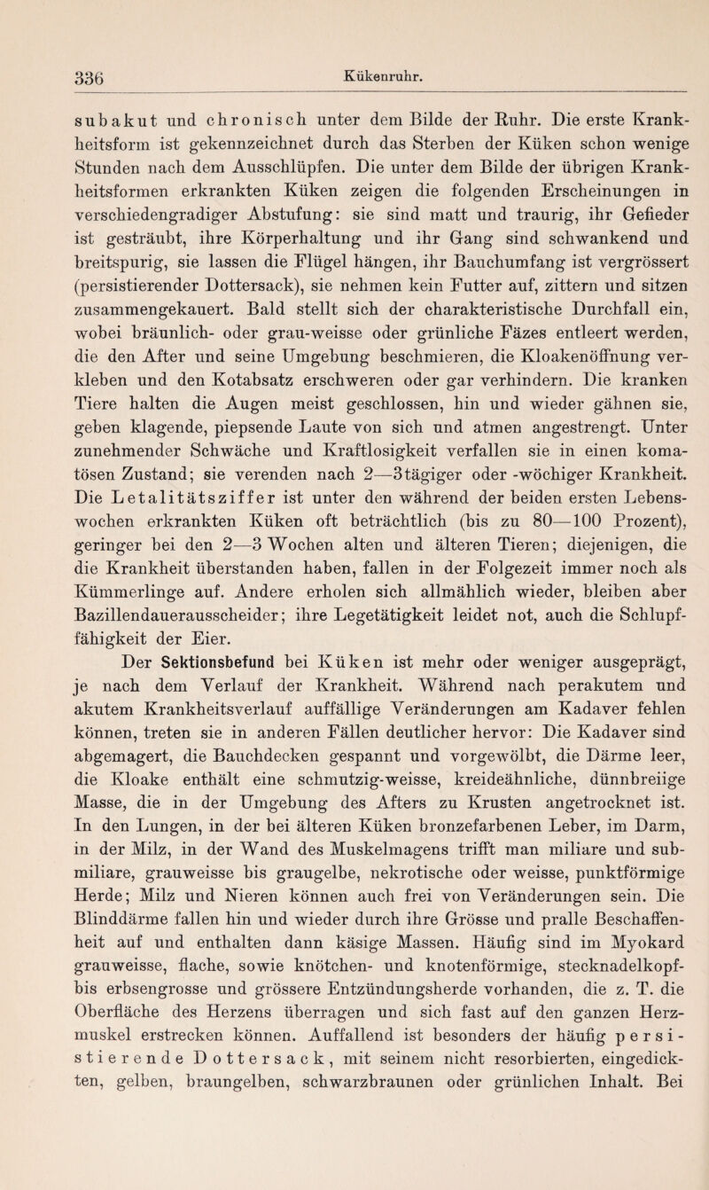 snbakut und chronisch unter dem Bilde der Ruhr. Die erste Krank¬ heitsform ist gekennzeichnet durch das Sterben der Küken schon wenige Stunden nach dem Ausschlüpfen. Die unter dem Bilde der übrigen Krank¬ heitsformen erkrankten Küken zeigen die folgenden Erscheinungen in verschiedengradiger Abstufung: sie sind matt und traurig, ihr Gefieder ist gesträubt, ihre Körperhaltung und ihr Gang sind schwankend und breitspurig, sie lassen die Flügel hängen, ihr Bauchumfang ist vergrössert (persistierender Dottersack), sie nehmen kein Futter auf, zittern und sitzen zusammengekauert. Bald stellt sich der charakteristische Durchfall ein, wobei bräunlich- oder grau-weisse oder grünliche Fäzes entleert werden, die den After und seine Umgebung beschmieren, die Kloakenöffnung ver¬ kleben und den Kotabsatz erschweren oder gar verhindern. Die kranken Tiere halten die Augen meist geschlossen, hin und wieder gähnen sie, geben klagende, piepsende Laute von sich und atmen angestrengt. Unter zunehmender Schwäche und Kraftlosigkeit verfallen sie in einen koma¬ tösen Zustand; sie verenden nach 2—3tägiger oder -wöchiger Krankheit. Die Letalitätsziffer ist unter den während der beiden ersten Lebens¬ wochen erkrankten Küken oft beträchtlich (bis zu 80—100 Prozent), geringer bei den 2—3 Wochen alten und älteren Tieren; diejenigen, die die Krankheit üherstanden haben, fallen in der Folgezeit immer noch als Kümmerlinge auf. Andere erholen sich allmählich wieder, bleiben aber Bazillendauerausscheider; ihre Legetätigkeit leidet not, auch die Schlupf¬ fähigkeit der Eier. Der Sektionsbefund bei Küken ist mehr oder weniger ausgeprägt, je nach dem Verlauf der Krankheit. Während nach perakutem und akutem Krankheitsverlauf auffällige Veränderungen am Kadaver fehlen können, treten sie in anderen Fällen deutlicher hervor: Die Kadaver sind abgemagert, die Bauchdecken gespannt und vorgewölbt, die Därme leer, die Kloake enthält eine schmutzig-weisse, kreideähnliche, dünnbreiige Masse, die in der Umgebung des Afters zu Krusten angetrocknet ist. In den Lungen, in der bei älteren Küken bronzefarbenen Leber, im Darm, in der Milz, in der Wand des Muskelmagens trifft man miliare und sub¬ miliare, grauweisse bis graugelbe, nekrotische oder weisse, punktförmige Herde; Milz und Nieren können auch frei von Veränderungen sein. Die Blinddärme fallen hin und wieder durch ihre Grösse und pralle Beschaffen¬ heit auf und enthalten dann käsige Massen. Häufig sind im Myokard grauweisse, flache, sowie knötchen- und knotenförmige, stecknadelkopf- bis erbsengrosse und grössere Entzündungsherde vorhanden, die z. T. die Oberfläche des Herzens überragen und sich fast auf den ganzen Herz¬ muskel erstrecken können. Auffallend ist besonders der häufig persi¬ stierende Dotter sack, mit seinem nicht resorbierten, eingedick¬ ten, gelben, braungelben, schwarzbraunen oder grünlichen Inhalt. Bei