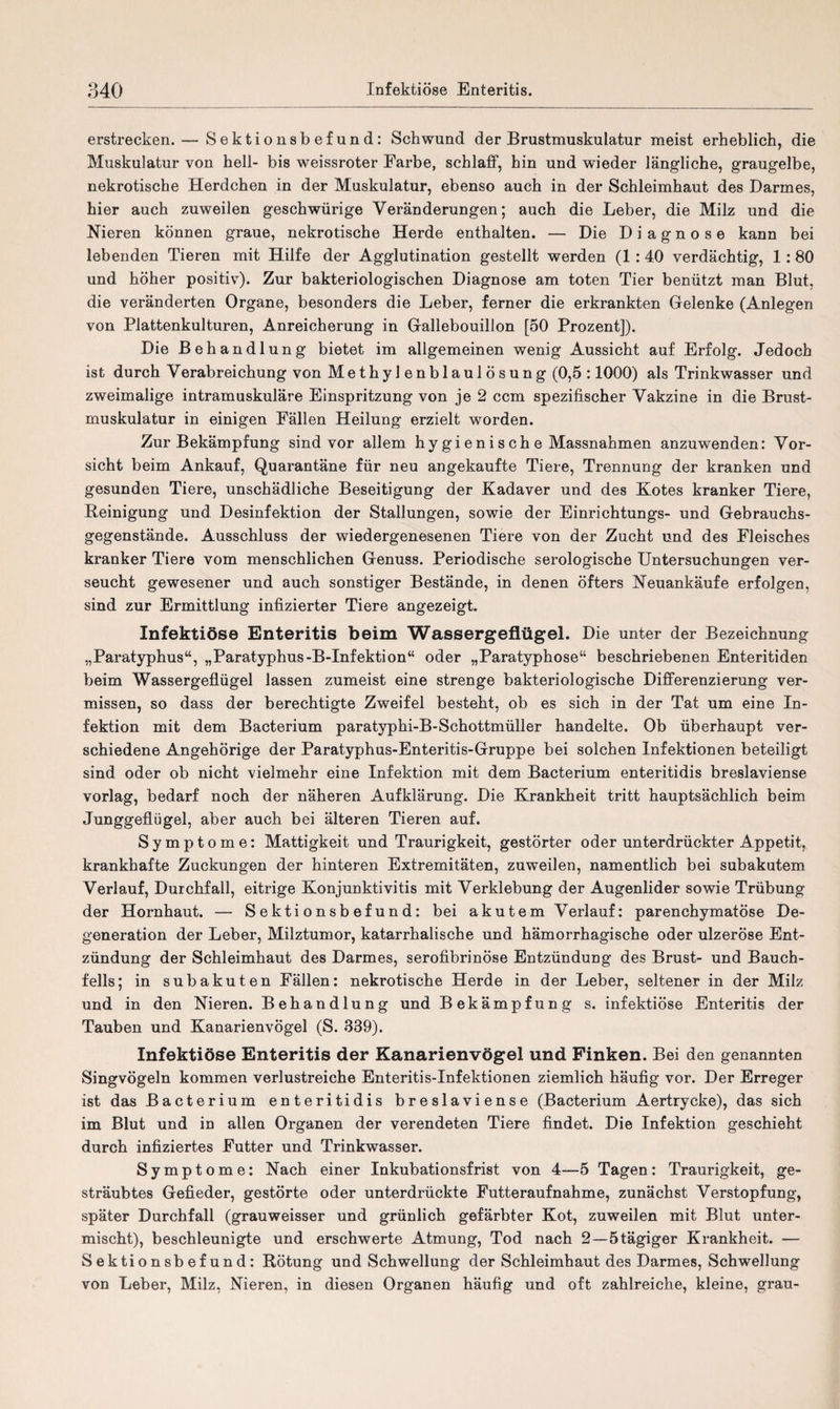 erstrecken. — S e k t i o nsb ef un d: Schwund der Brustmuskulatur meist erheblich, die Muskulatur von hell- bis weissroter Farbe, schlaff, hin und wieder längliche, graugelbe, nekrotische Herdchen in der Muskulatur, ebenso auch in der Schleimhaut des Darmes, hier auch zuweilen geschwürige Veränderungen; auch die Leber, die Milz und die Nieren können graue, nekrotische Herde enthalten. — Die Diagnose kann bei lebenden Tieren mit Hilfe der Agglutination gestellt werden (1 : 40 verdächtig, 1 : 80 und höher positiv). Zur bakteriologischen Diagnose am toten Tier benützt man Blut, die veränderten Organe, besonders die Leber, ferner die erkrankten Gelenke (Anlegen von Plattenkulturen, Anreicherung in Gallebouillon [50 Prozent]). Die Behandlung bietet im allgemeinen wenig Aussicht auf Erfolg. Jedoch ist durch Verabreichung von Methylenblaulösung (0,5 :1000) als Trinkwasser und zweimalige intramuskuläre Einspritzung von je 2 ccm spezifischer Vakzine in die Brust¬ muskulatur in einigen Fällen Heilung erzielt worden. Zur Bekämpfung sind vor allem hygienisch e Massnahmen anzuwenden: Vor¬ sicht beim Ankauf, Quarantäne für neu angekaufte Tiere, Trennung der kranken und gesunden Tiere, unschädliche Beseitigung der Kadaver und des Kotes kranker Tiere, Reinigung und Desinfektion der Stallungen, sowie der Einrichtungs- und Gebrauchs¬ gegenstände. Ausschluss der wiedergenesenen Tiere von der Zucht und des Fleisches kranker Tiere vom menschlichen Genuss. Periodische serologische Untersuchungen ver¬ seucht gewesener und auch sonstiger Bestände, in denen öfters Neuankäufe erfolgen, sind zur Ermittlung infizierter Tiere angezeigt. Infektiöse Enteritis beim Wassergeflügel. Die unter der Bezeichnung „Paratyphus“, „Paratyphus-B-Infektion“ oder „Paratyphose“ beschriebenen Enteritiden beim Wassergeflügel lassen zumeist eine strenge bakteriologische Differenzierung ver¬ missen, so dass der berechtigte Zweifel besteht, ob es sich in der Tat um eine In¬ fektion mit dem Bacterium paratyphi-B-Schottmüller handelte. Ob überhaupt ver¬ schiedene Angehörige der Paratyphus-Enteritis-Gruppe bei solchen Infektionen beteiligt sind oder ob nicht vielmehr eine Infektion mit dem Bacterium enteritidis breslaviense vorlag, bedarf noch der näheren Aufklärung. Die Krankheit tritt hauptsächlich beim Junggeflügel, aber auch bei älteren Tieren auf. Symptome: Mattigkeit und Traurigkeit, gestörter oder unterdrückter Appetit, krankhafte Zuckungen der hinteren Extremitäten, zuweilen, namentlich bei subakutem Verlauf, Durchfall, eitrige Konjunktivitis mit Verklebung der Augenlider sowie Trübung der Hornhaut. — Sektionsbefund: bei akutem Verlauf: parenchymatöse De¬ generation der Leber, Milztumor, katarrhalische und hämorrhagische oder ulzeröse Ent¬ zündung der Schleimhaut des Darmes, serofibrinöse Entzündung des Brust- und Bauch¬ fells; in subakuten Fällen: nekrotische Herde in der Leber, seltener in der Milz und in den Nieren. Behandlung und Bekämpfung s. infektiöse Enteritis der Tauben und Kanarienvögel (S. 339). Infektiöse Enteritis der Kanarienvögel und Finken. Bei den genannten Singvögeln kommen verlustreiche Enteritis-Infektionen ziemlich häufig vor. Der Erreger ist das Bacterium enteritidis breslaviense (Bacterium Aertrycke), das sich im Blut und in allen Organen der verendeten Tiere findet. Die Infektion geschieht durch infiziertes Futter und Trinkwasser. Symptome: Nach einer Inkubationsfrist von 4—5 Tagen: Traurigkeit, ge¬ sträubtes Gefieder, gestörte oder unterdrückte Futteraufnahme, zunächst Verstopfung, später Durchfall (grauweisser und grünlich gefärbter Kot, zuweilen mit Blut unter¬ mischt), beschleunigte und erschwerte Atmung, Tod nach 2—5 tägiger Krankheit. — Sektionsbefund: Rötung und Schwellung der Schleimhaut des Darmes, Schwellung von Leber, Milz, Nieren, in diesen Organen häufig und oft zahlreiche, kleine, grau-