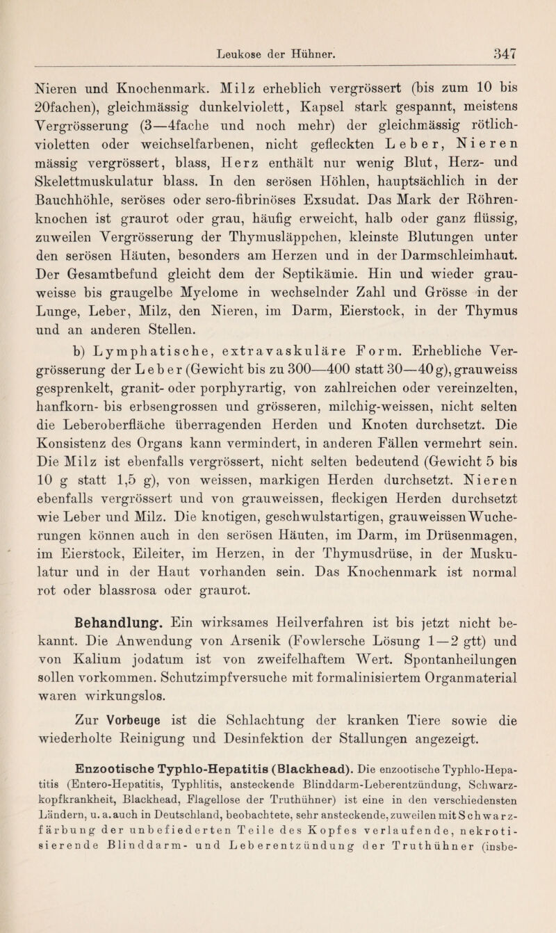 Nieren und Knochenmark. Milz erheblich vergrössert (bis zum 10 bis 20fachen), gleichmässig dunkel violett, Kapsel stark gespannt, meistens Vergrösserung (3—4fache und noch mehr) der gleichmässig rötlich¬ violetten oder weichselfarbenen, nicht gefleckten Leber, Nieren mässig vergrössert, blass, Herz enthält nur wenig Blut, Herz- und Skelettmuskulatur blass. In den serösen Höhlen, hauptsächlich in der Bauchhöhle, seröses oder sero-fibrinöses Exsudat. Das Mark der Röhren¬ knochen ist graurot oder grau, häufig erweicht, halb oder ganz flüssig, zuweilen Yergrösserung der Thymusläppchen, kleinste Blutungen unter den serösen Häuten, besonders am Herzen und in der Darmschleimhaut. Der Gesamtbefund gleicht dem der Septikämie. Hin und wieder grau- weisse bis graugelbe Myelome in wechselnder Zahl und Grösse in der Lunge, Leber, Milz, den Nieren, im Darm, Eierstock, in der Thymus und an anderen Stellen. b) Lymphatische, extravaskuläre Form. Erhebliche Yer¬ grösserung der Leber (Gewicht bis zu 300—400 statt 30—40 g), grauweiss gesprenkelt, granit- oder porphyrartig, von zahlreichen oder vereinzelten, hanfkorn- bis erbsengrossen und grösseren, milchig-weissen, nicht selten die Leberoberfläche überragenden Herden und Knoten durchsetzt. Die Konsistenz des Organs kann vermindert, in anderen Fällen vermehrt sein. Die Milz ist ebenfalls vergrössert, nicht selten bedeutend (Gewicht 5 bis 10 g statt 1,5 g), von weissen, markigen Herden durchsetzt. Nieren ebenfalls vergrössert und von grauweissen, fleckigen Herden durchsetzt wie Leber und Milz. Die knotigen, geschwulstartigen, grauweissen Wuche¬ rungen können auch in den serösen Häuten, im Darm, im Drüsenmagen, im Eierstock, Eileiter, im Herzen, in der Thymusdrüse, in der Musku¬ latur und in der Haut vorhanden sein. Das Knochenmark ist normal rot oder blassrosa oder graurot. Behandlung'. Ein wirksames Heilverfahren ist bis jetzt nicht be¬ kannt. Die Anwendung von Arsenik (Fowlersche Lösung 1 — 2 gtt) und von Kalium jodatum ist von zweifelhaftem Wert. Spontanheilungen sollen Vorkommen. Schutzimpfversuche mit formalinisiertem Organmaterial waren wirkungslos. Zur Vorbeuge ist die Schlachtung der kranken Tiere sowie die wiederholte Reinigung und Desinfektion der Stallungen angezeigt. Enzootische Typhlo-Hepatitis (Blackhead). Die enzootische Typhlo-Hepa- titis (Entero-Hepatitis, Typhlitis, ansteckende Blinddarm-Leberentzündung, Schwarz¬ kopfkrankheit, Blackhead, Elagellose der Truthühner) ist eine in den verschiedensten Ländern, u. a.auch in Deutschland, beobachtete, sehr ansteckende, zuweilen mit Schwarz¬ färbung der unbefiederten Teile des Kopfes verlaufende, nekroti¬ sierende Blinddarm- und Leberentzündung der Truthühner (insbe-